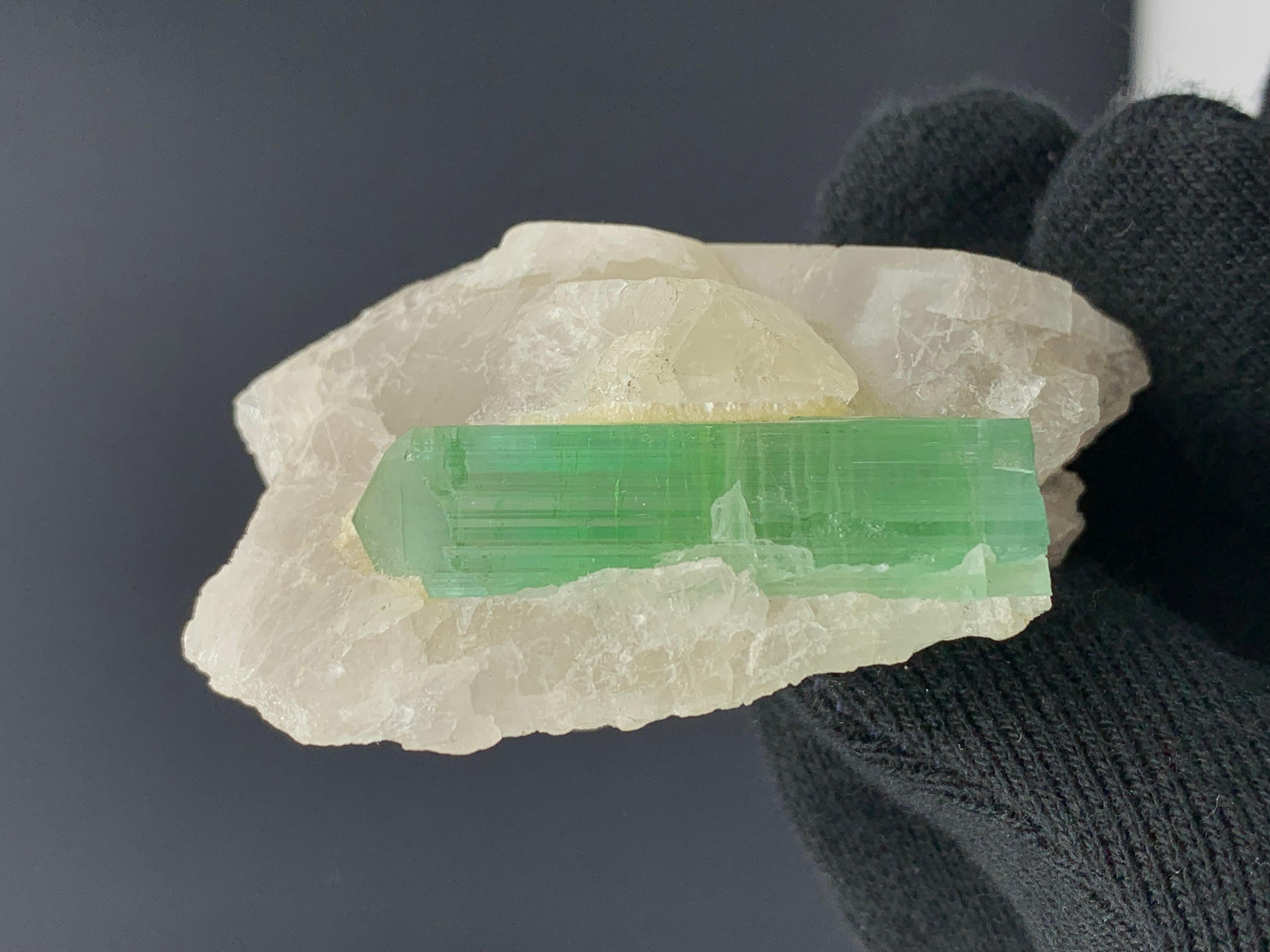 Pakistanais 75,00 grammes de tourmaline verte attachées à un bouleau de quartz d'Afghanistan en vente