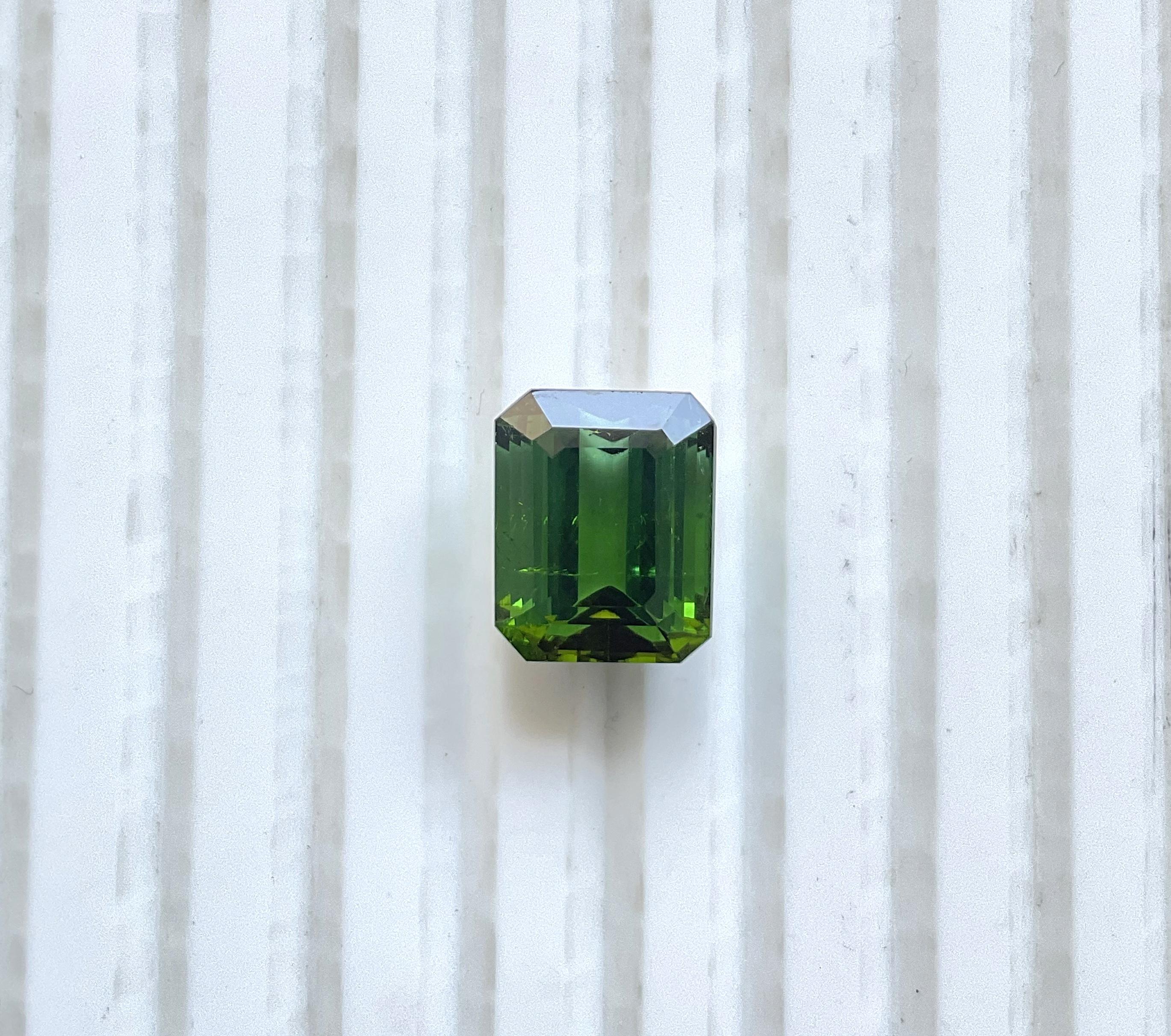 7,52 Karat Nigeria grüner Turmalin Top Qualität Oktagon Schliff Stein natürlich Edelstein für Damen oder Herren im Angebot