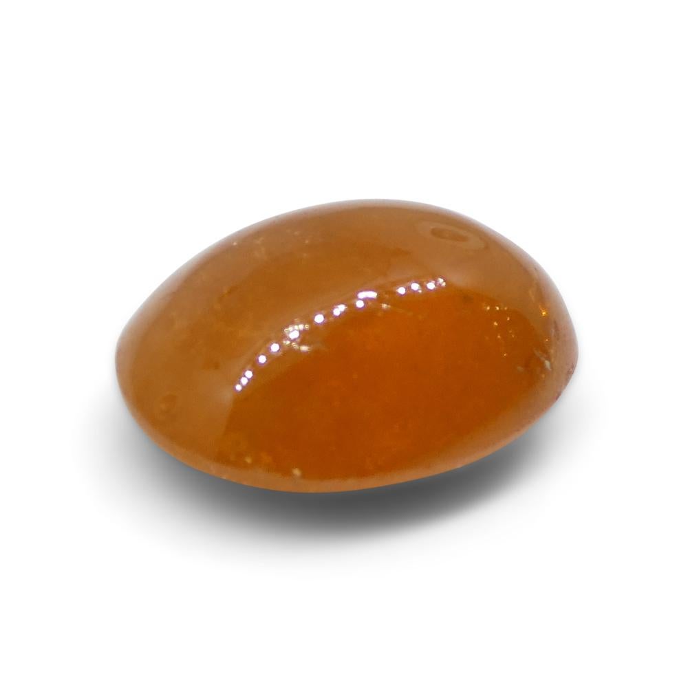 Cabujón ovalado de 7.5 ct Granate naranja mandarina espesartina de Nigeria en venta 6