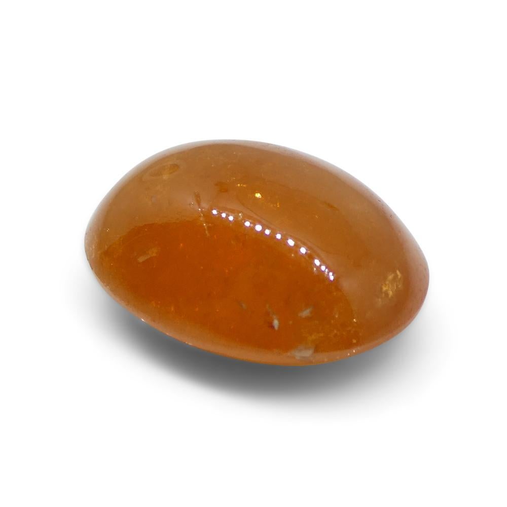 7.5ct Oval Cabochon Orange Spessartine Garnet from Nigeria For Sale 7