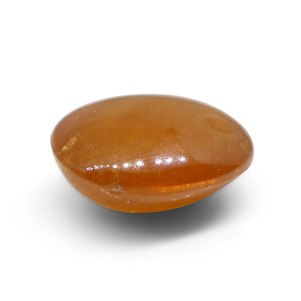 7.5ct Oval Cabochon Orange Spessartine Garnet from Nigeria For Sale 1