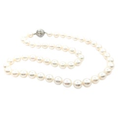 Collier 17" en or blanc avec perle des mers du sud de 7,5 mm