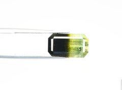 7.60 cts, Tri-Color Tourmaline Pair