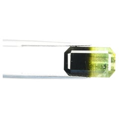 7.60 cts, Tri-Color Tourmaline Pair