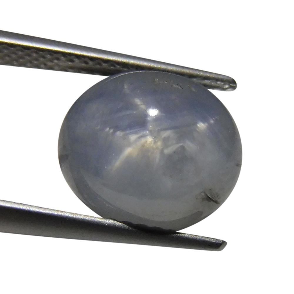 Saphir étoilé ovale de 7.67 carats en vente 2