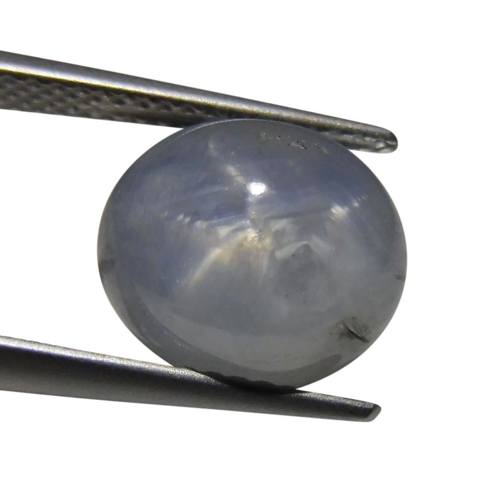 7.67 ct Oval Star Sapphire For Sale 2