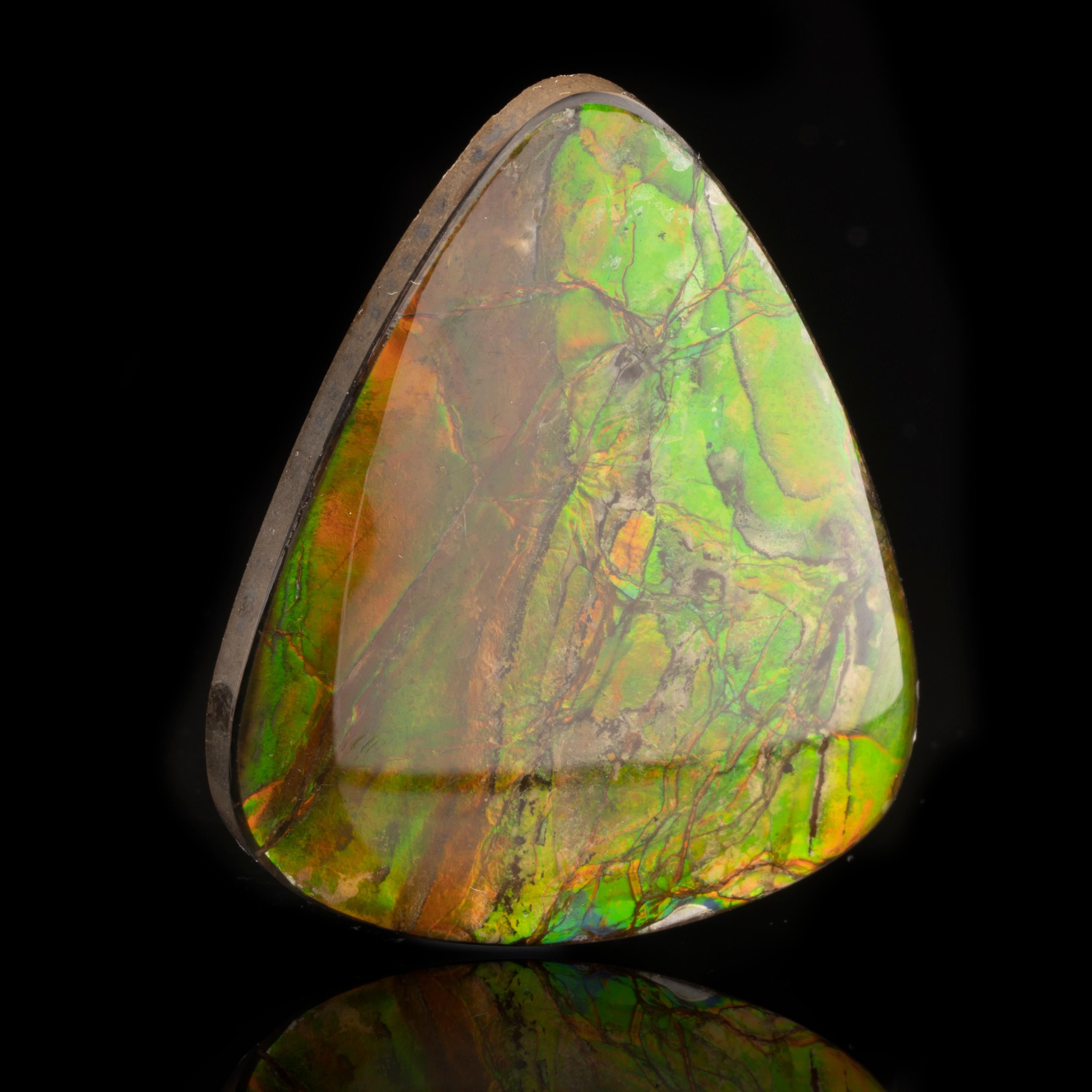 71 million year old ammolite is the rarest Canadian gemstone. Discovered in 1906 by the Geological Survey of Canada, it has since been mined to make mesmerizing, colorful cabochons and pieces of wearable art. Ammolite only comes from one location –