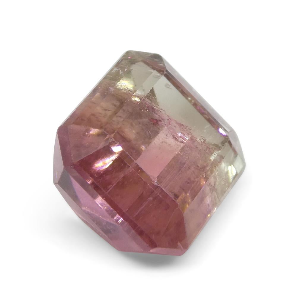 Tourmaline bicolore rose et verte taille émeraude de 7.69 carats du Brésil en vente 6