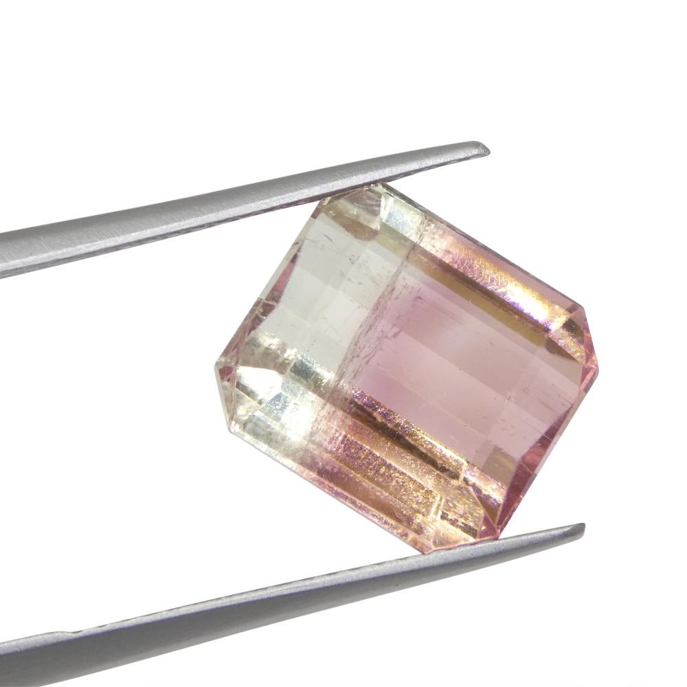 Tourmaline bicolore rose et verte taille émeraude de 7.69 carats du Brésil en vente 1