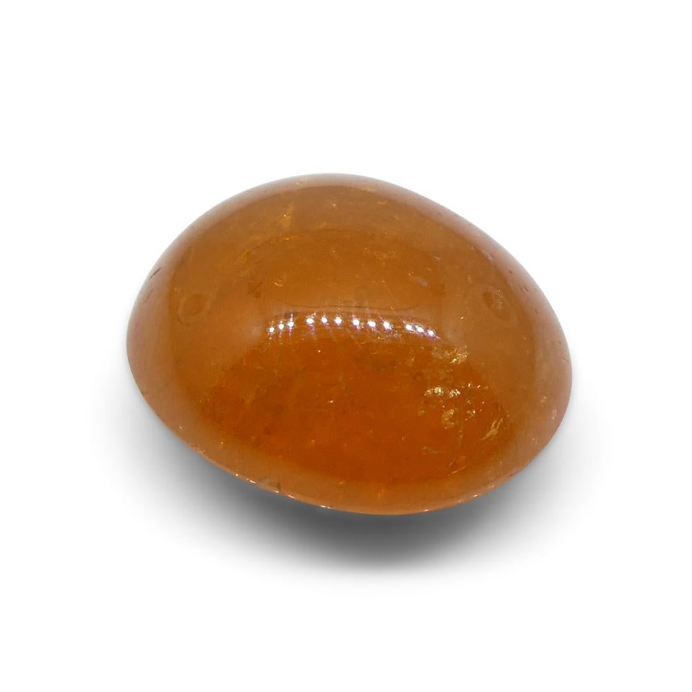 7.69ct Oval Cabochon Orange Spessartine Garnet from Nigeria For Sale 7