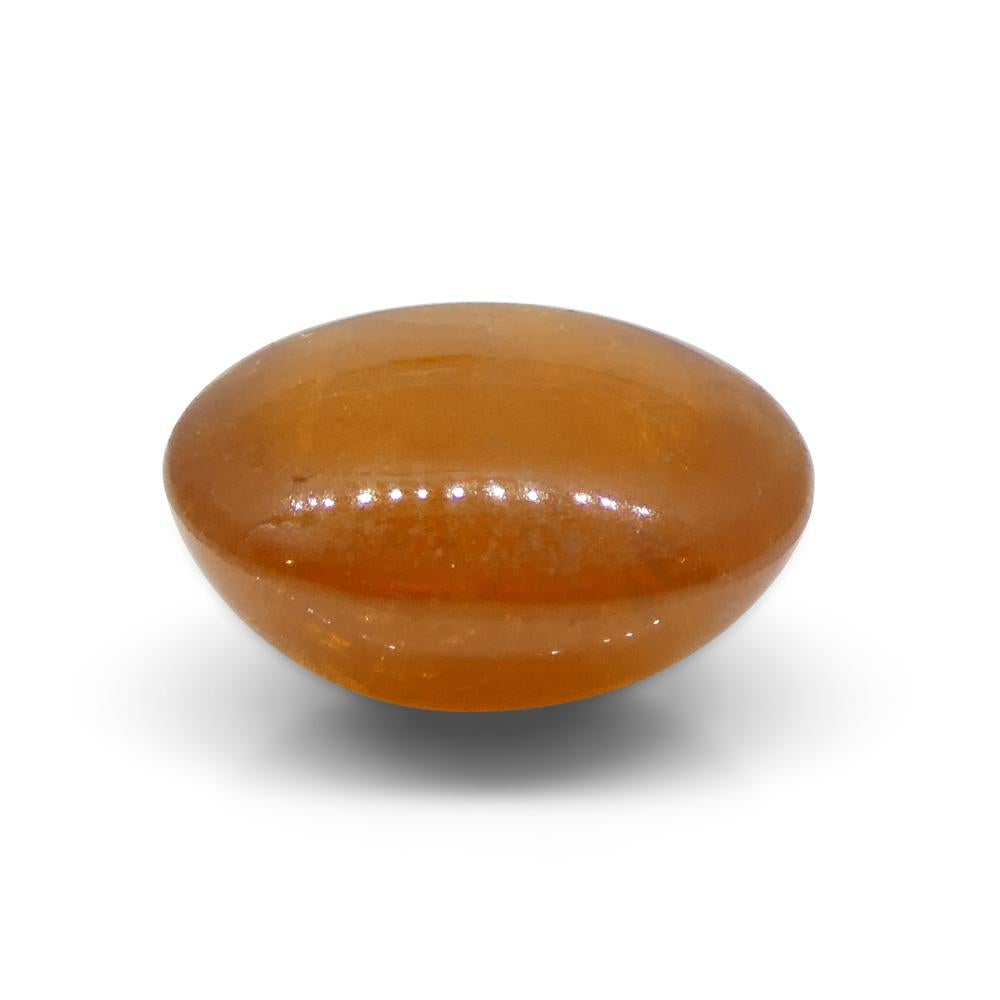 7.69ct Oval Cabochon Orange Spessartine Garnet from Nigeria For Sale 1