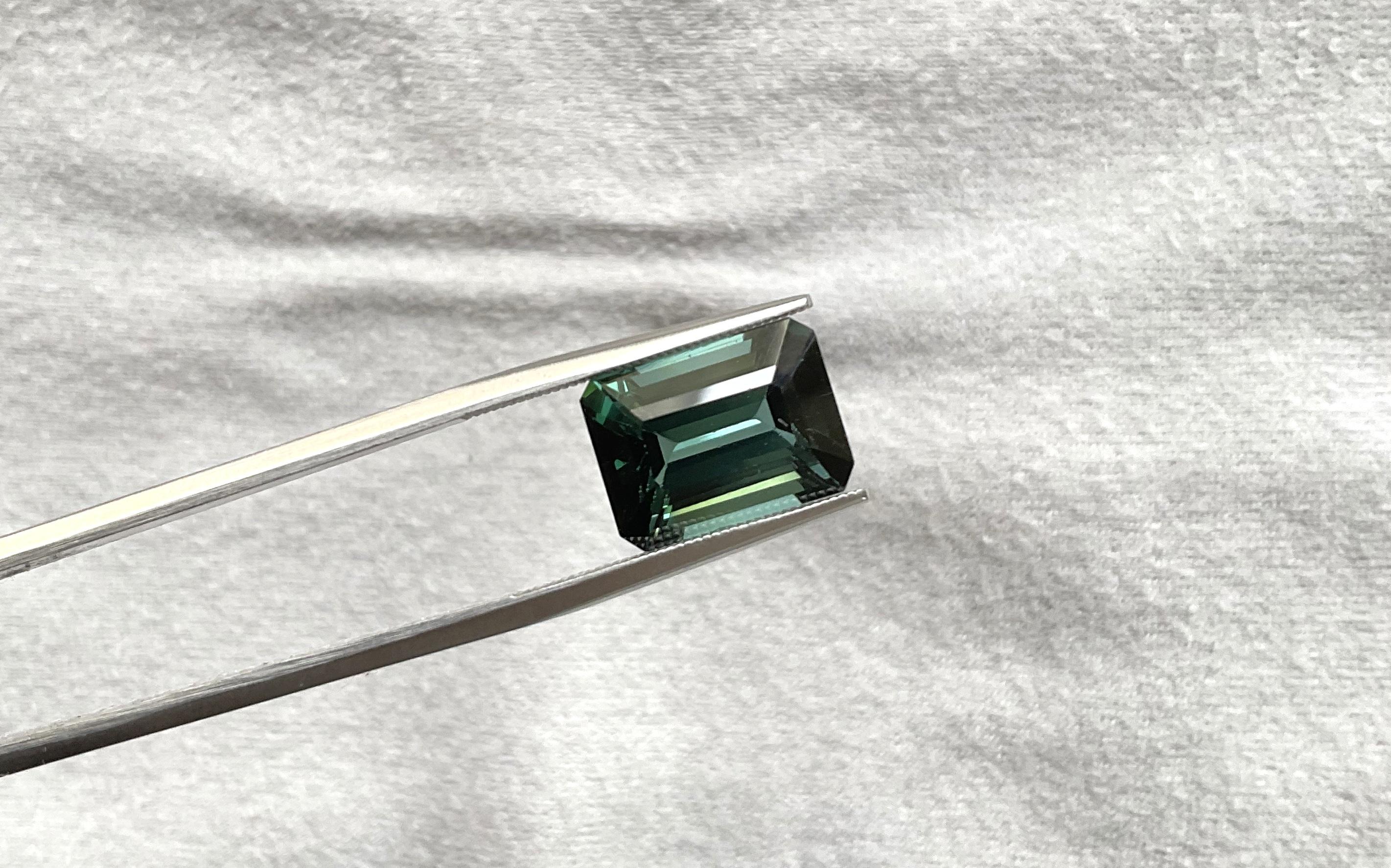 7,77 Karat grüner Turmalin Oktagon Top Qualität geschliffener Stein Natürlicher Edelstein im Angebot 2