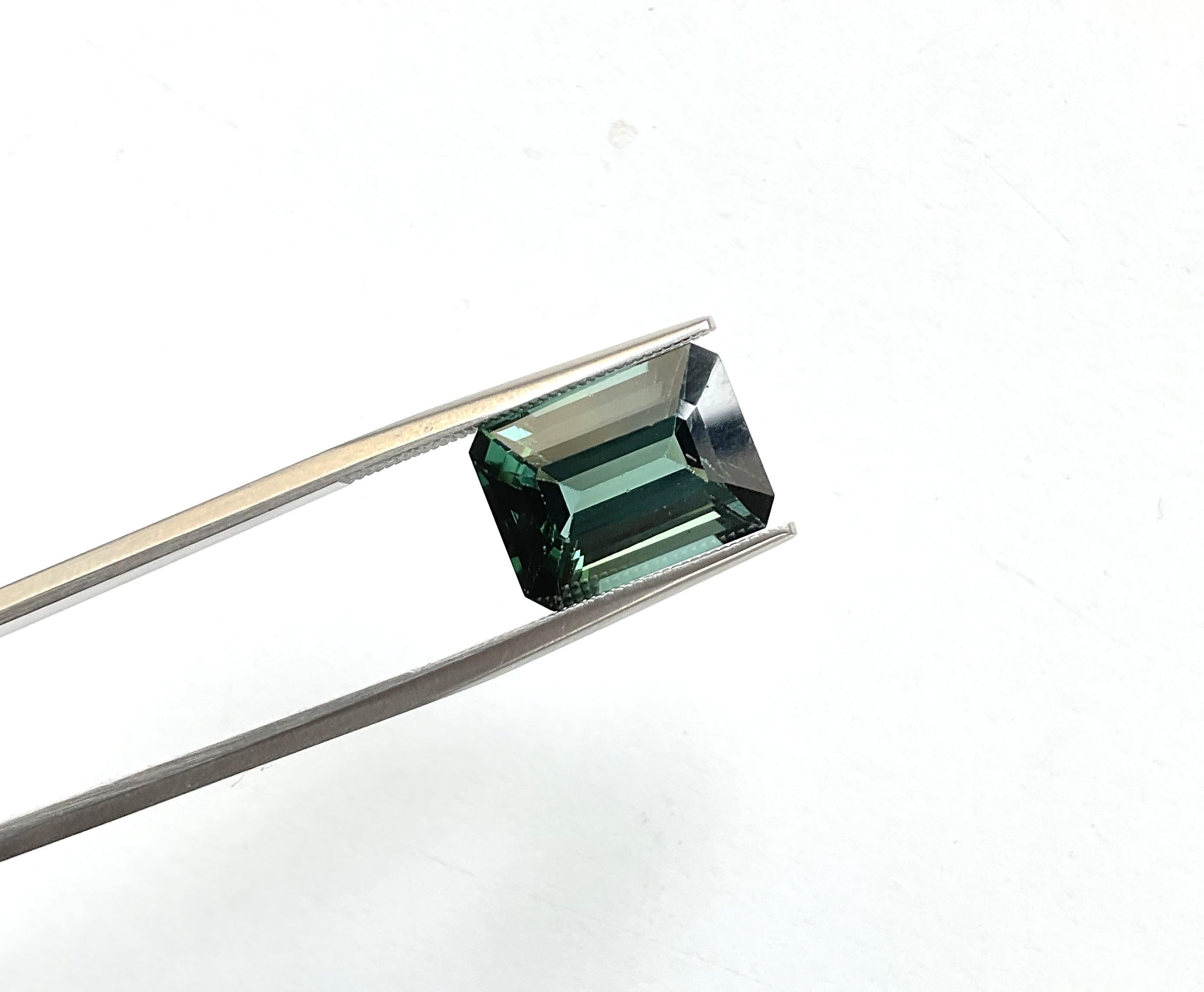 7,77 Karat grüner Turmalin Oktagon Top Qualität geschliffener Stein Natürlicher Edelstein im Angebot 3
