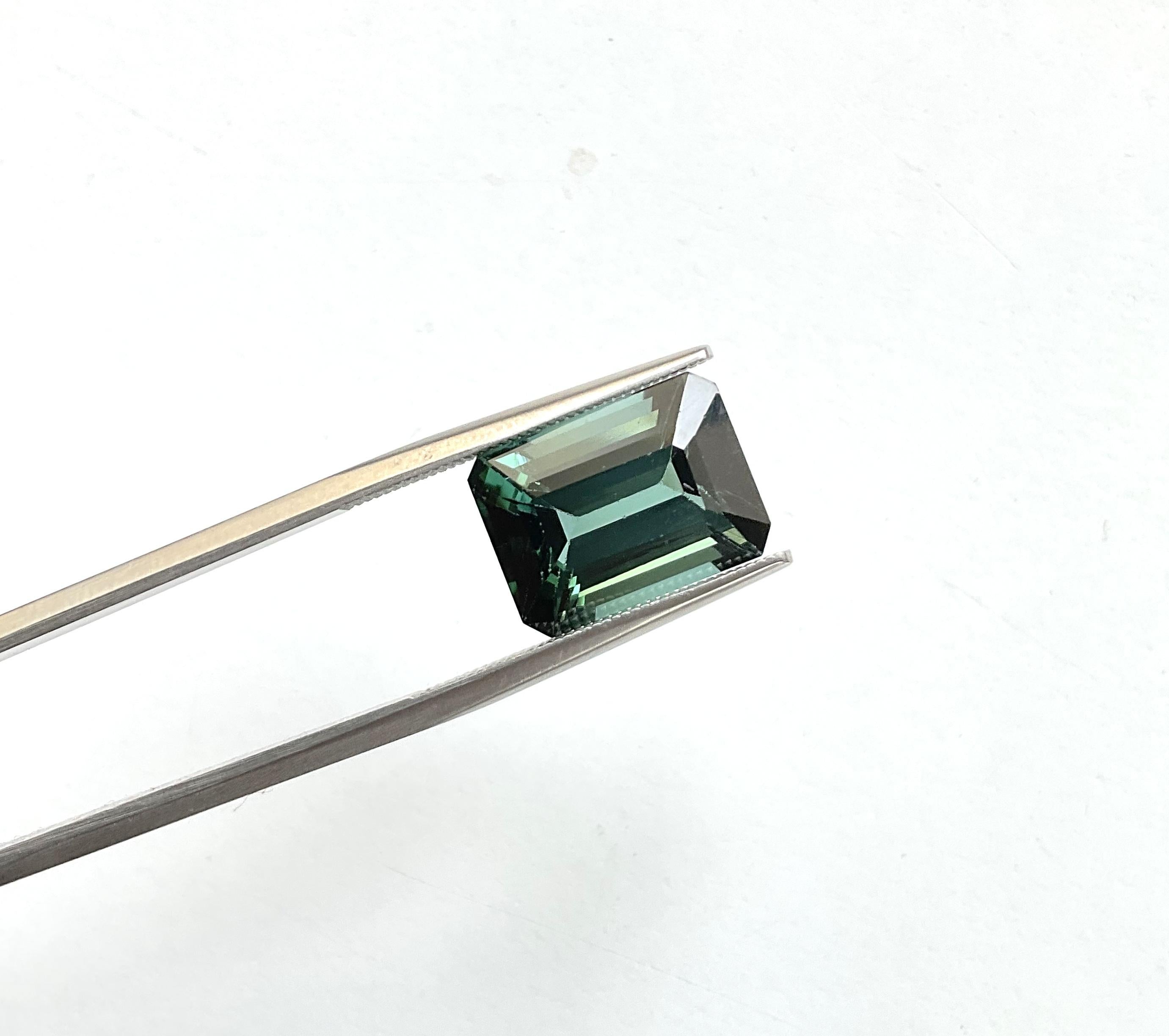 7,77 Karat grüner Turmalin Oktagon Top Qualität geschliffener Stein Natürlicher Edelstein im Angebot 4