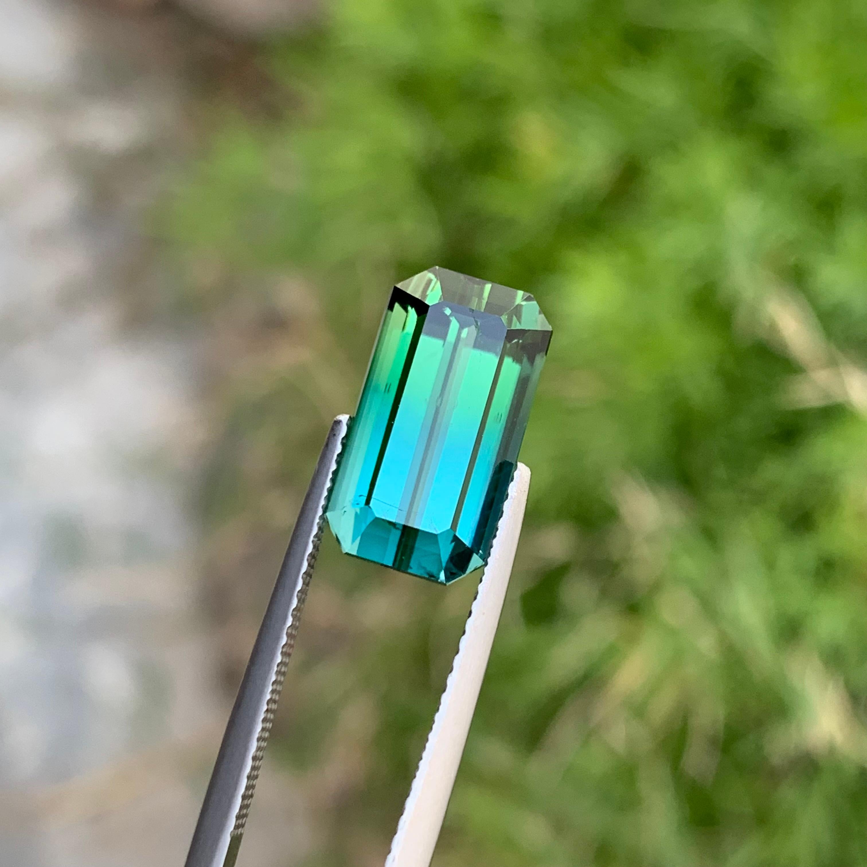 7,80 Karat Natürliche Lose Bi Farbe Turmalin Smaragd Form Edelstein für Halskette im Angebot 4