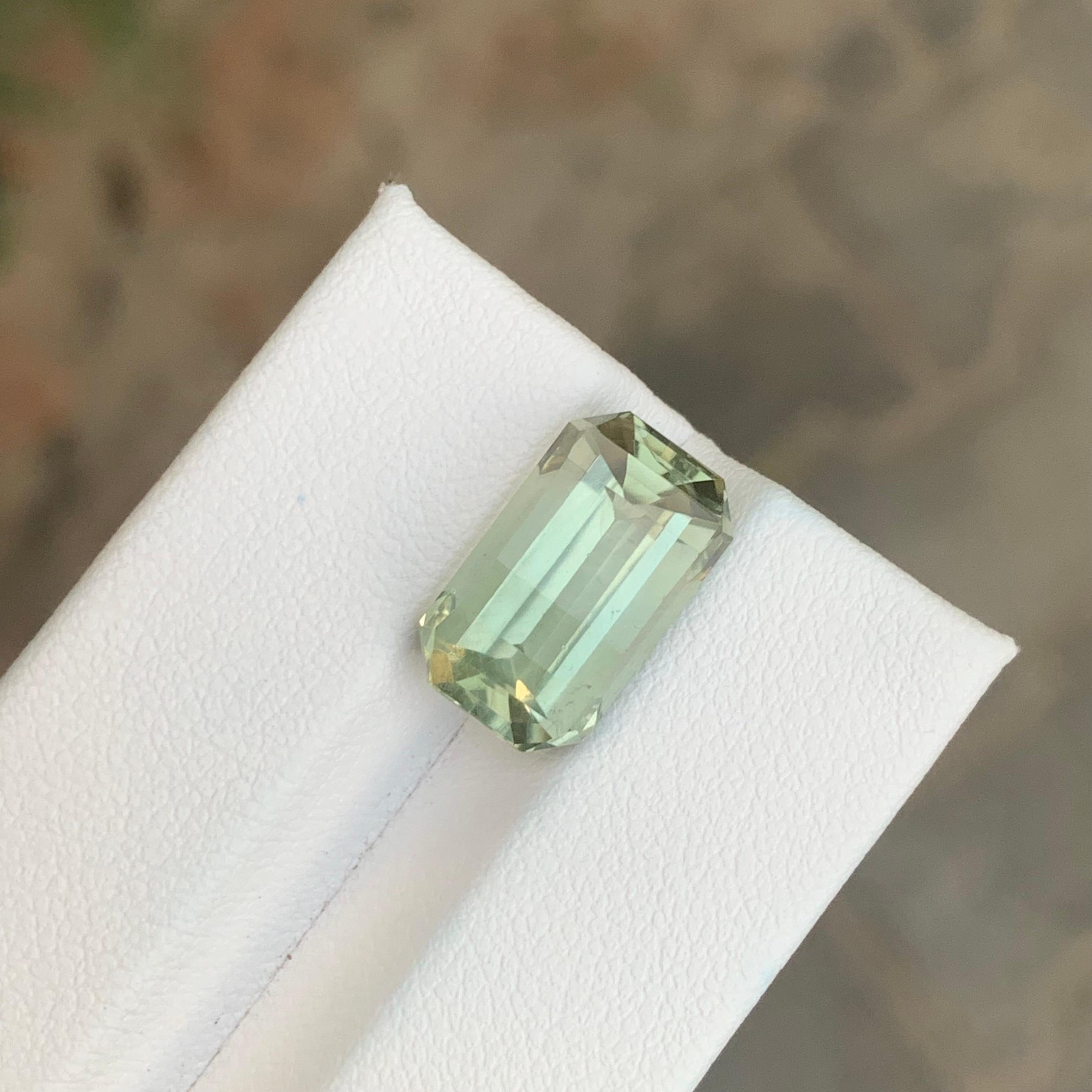 7.85 Carat Natural Loose Green Amethyst \ Prasiolite Octagon Shape Gemstone For Sale 6