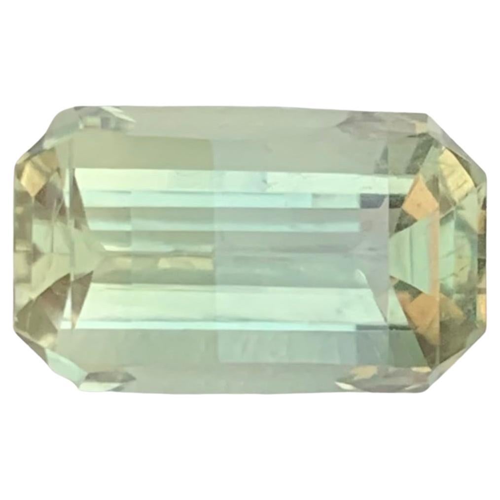 7.85 Carat Natural Loose Green Amethyst \ Prasiolite Octagon Shape Gemstone For Sale