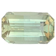 7.85 Carat Natural Loose Green Amethyst \ Prasiolite Octagon Shape Gemstone