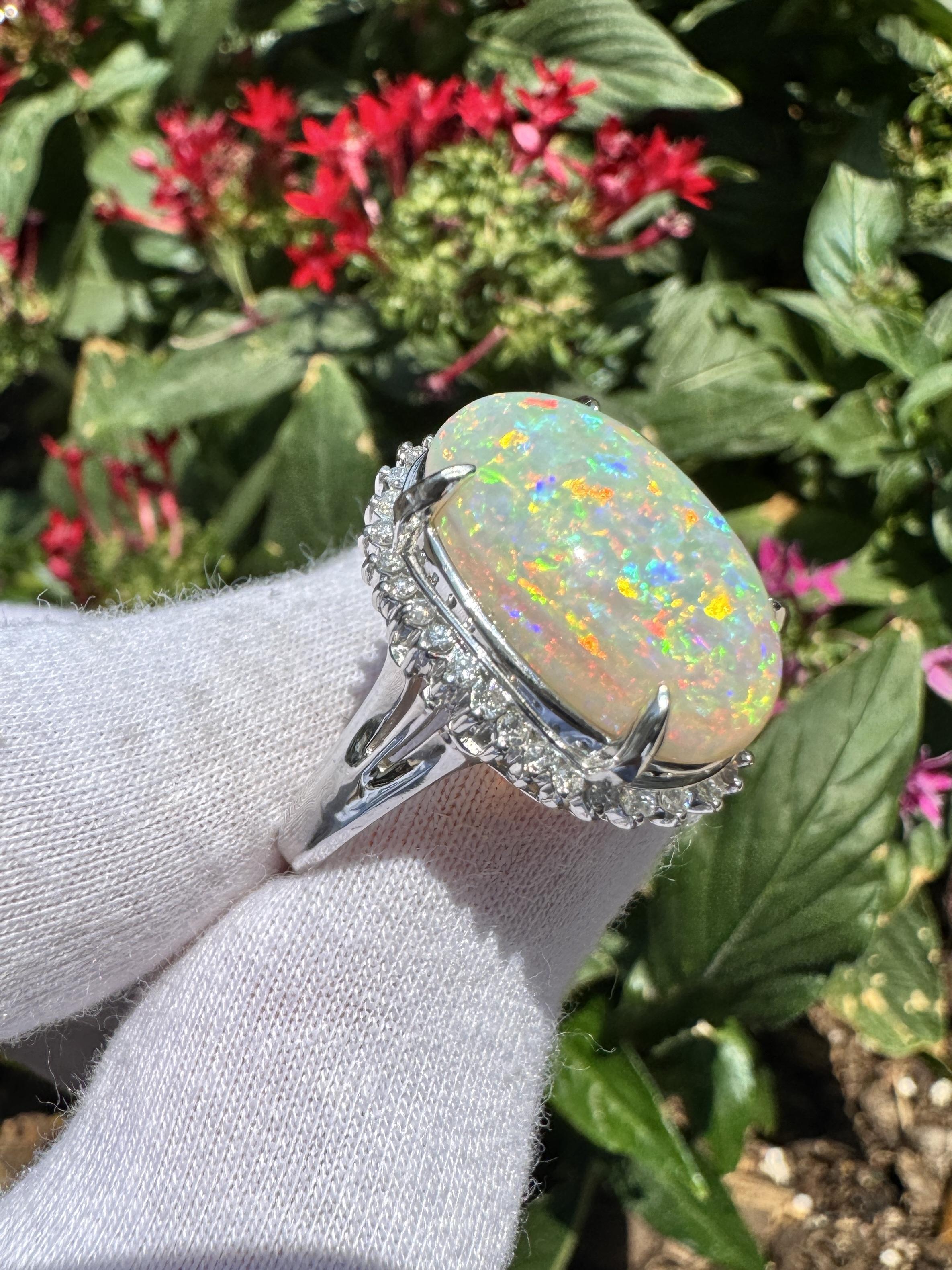 Weißer Opal und Diamant Platinring. 

Dieser Cocktailring ist in Platin gefasst und zeigt einen natürlichen weißen Opal von 7,86 Karat mit ovalem Cabochon-Schliff, der in einer Zackenfassung befestigt ist. Der Opal ist von hervorragender Farbe,