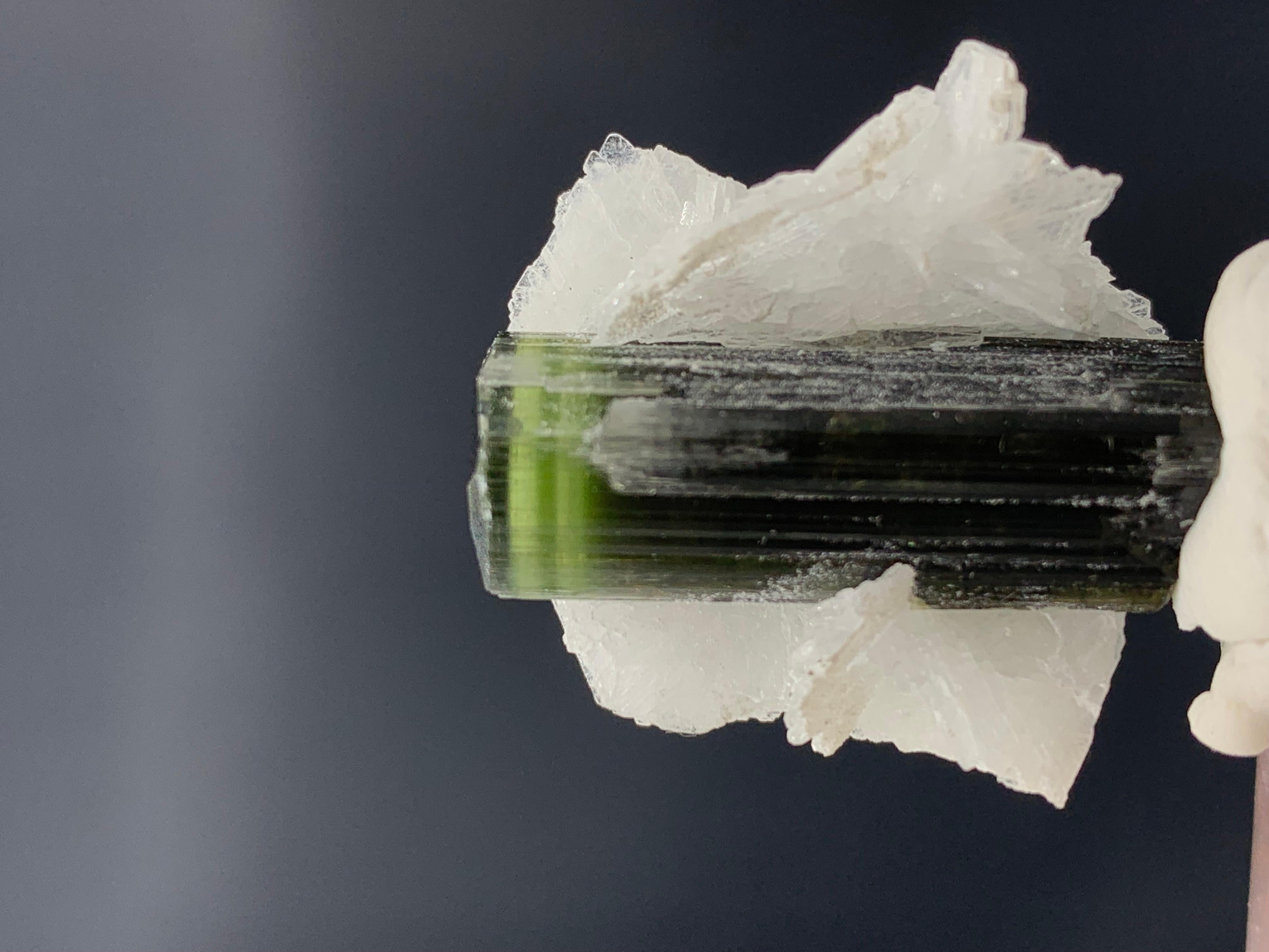 7,90 Gramm Turmalin-Probe aus Stak Nala, Gilgit, Pakistan 
Gewicht: 7,90 Gramm 
Abmessung: 2.9 x 2.7 x 1.7 Cm 
Herkunft: Stak Nala, Gilgit Baltistan, Pakistan 

Turmalin ist ein kristallines Silikatmineral, in dem Bor mit Elementen wie Aluminium,