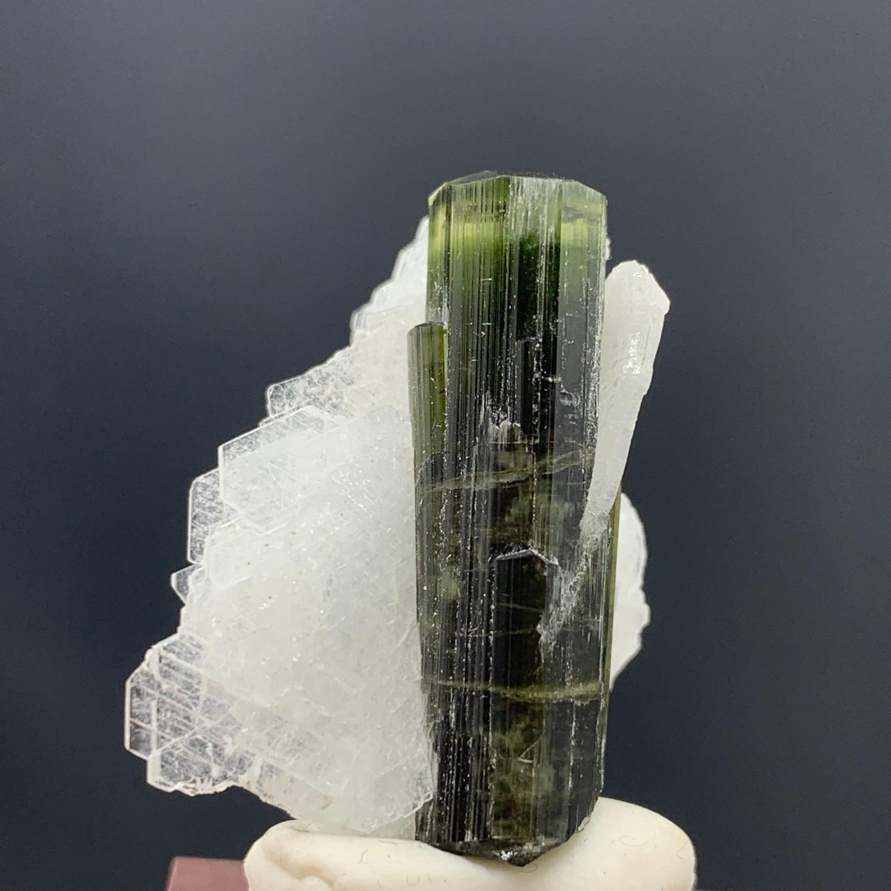 Adam Style 7.90 Gram Tourmaline Specimen From Stak Nala, Gilgit, Pakistan  For Sale