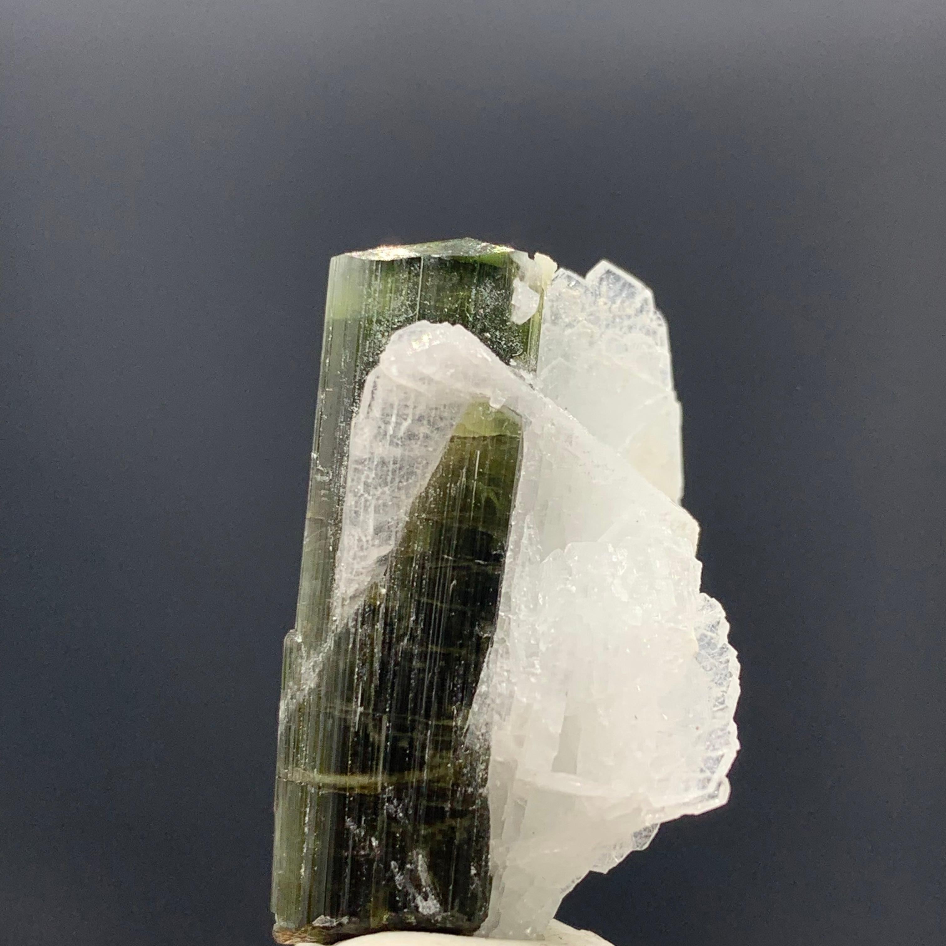 Pakistani 7.90 Gram Tourmaline Specimen From Stak Nala, Gilgit, Pakistan  For Sale