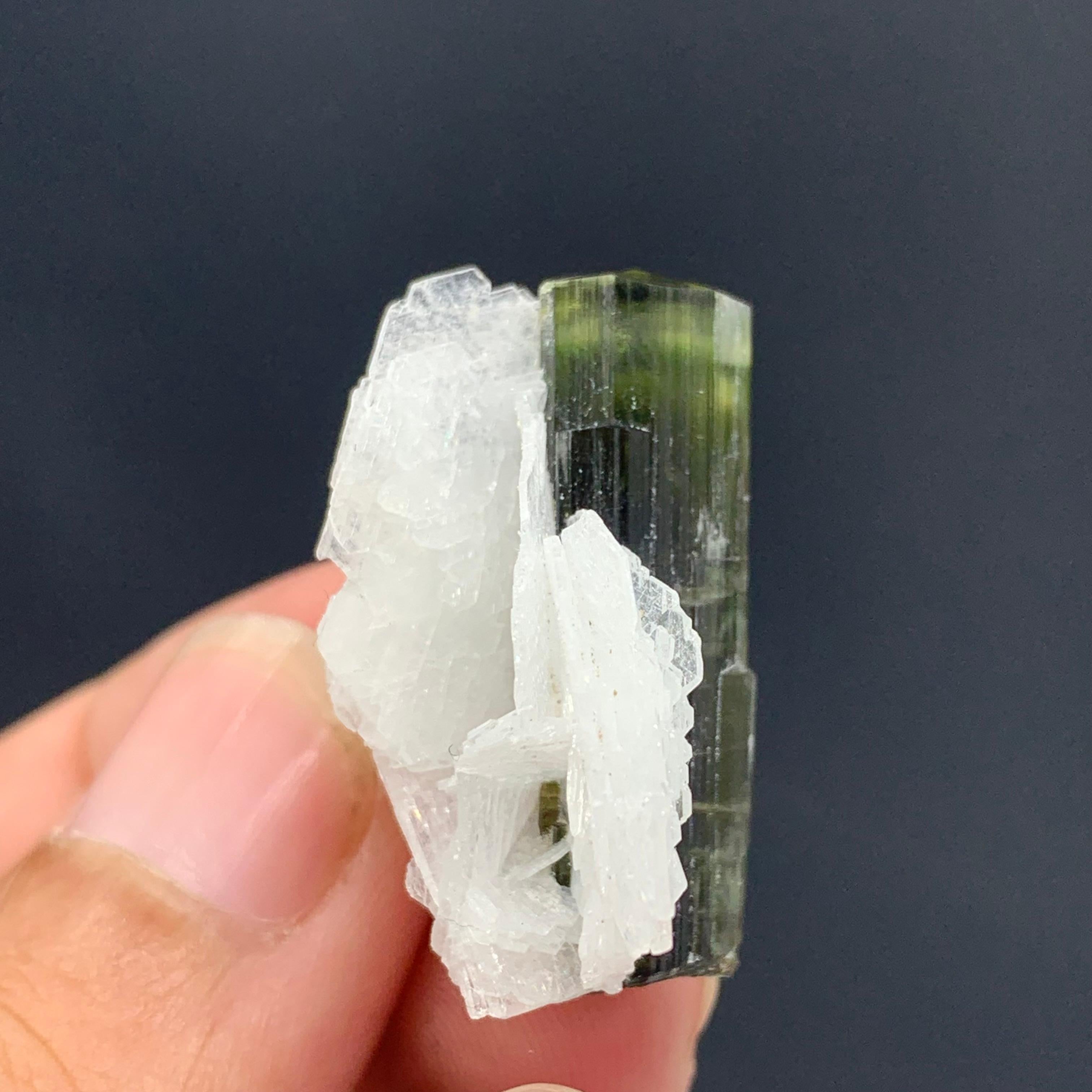 18th Century and Earlier 7.90 Gram Tourmaline Specimen From Stak Nala, Gilgit, Pakistan  For Sale