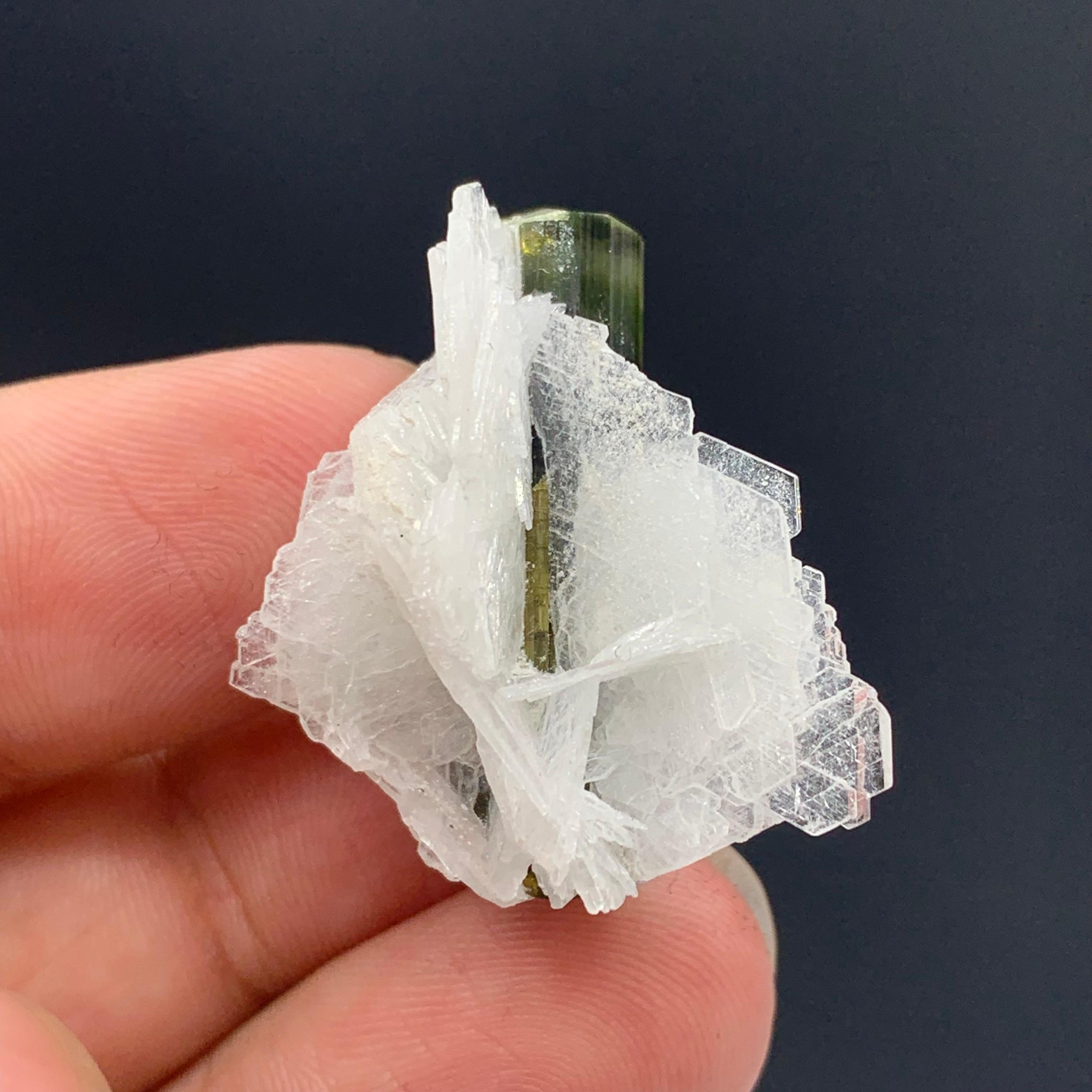 Rock Crystal 7.90 Gram Tourmaline Specimen From Stak Nala, Gilgit, Pakistan  For Sale