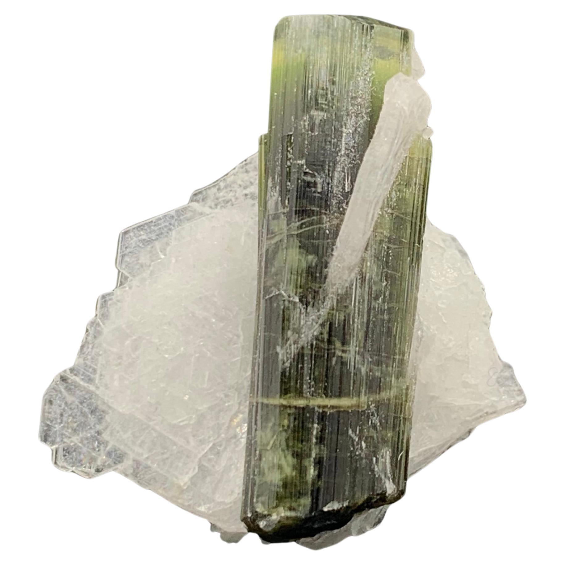 7.90 Gram Tourmaline Specimen From Stak Nala, Gilgit, Pakistan  For Sale