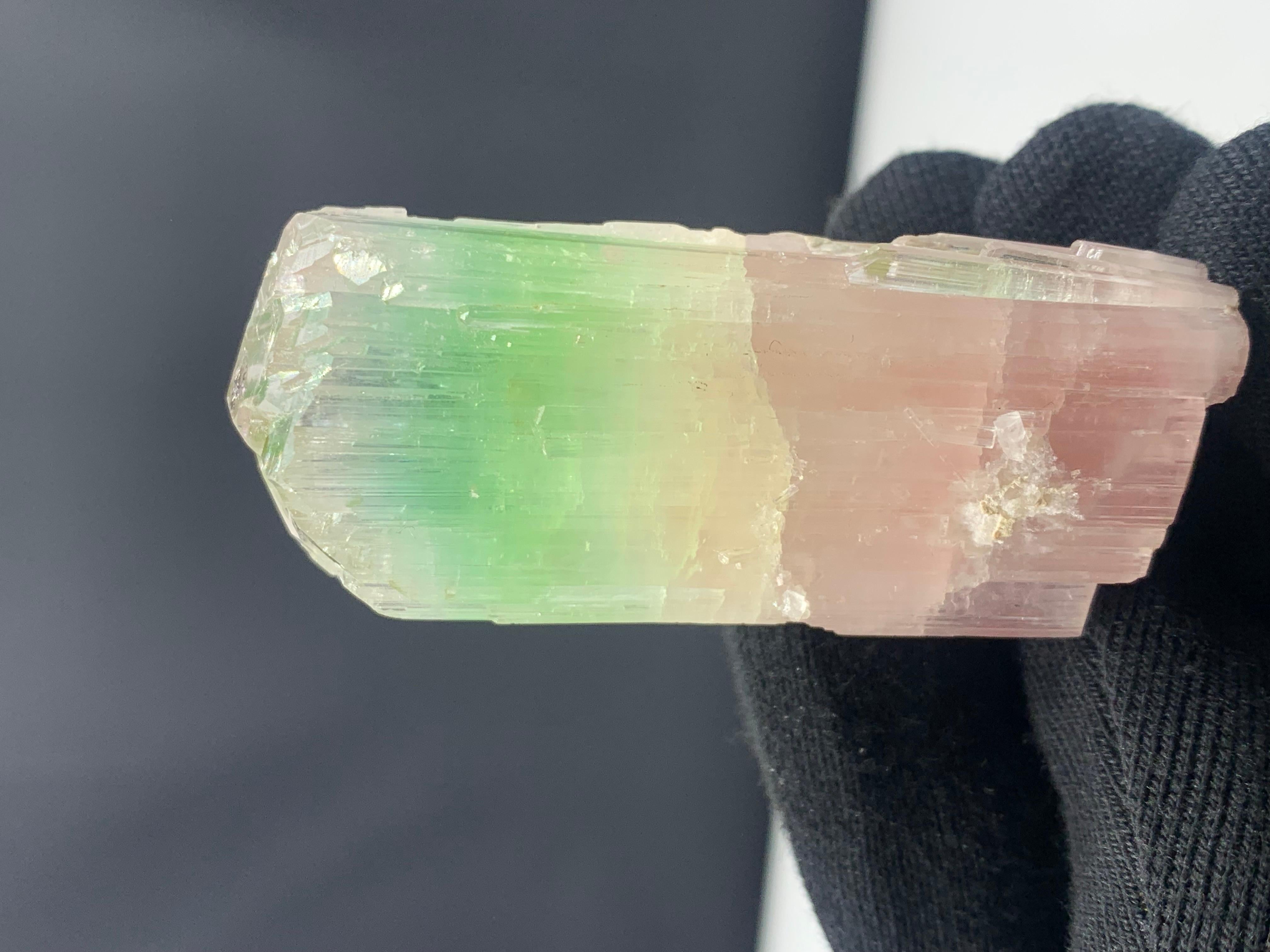 79.04 Gram Beautiful Bi Color Tourmaline Crystal from Afghanistan For Sale 3