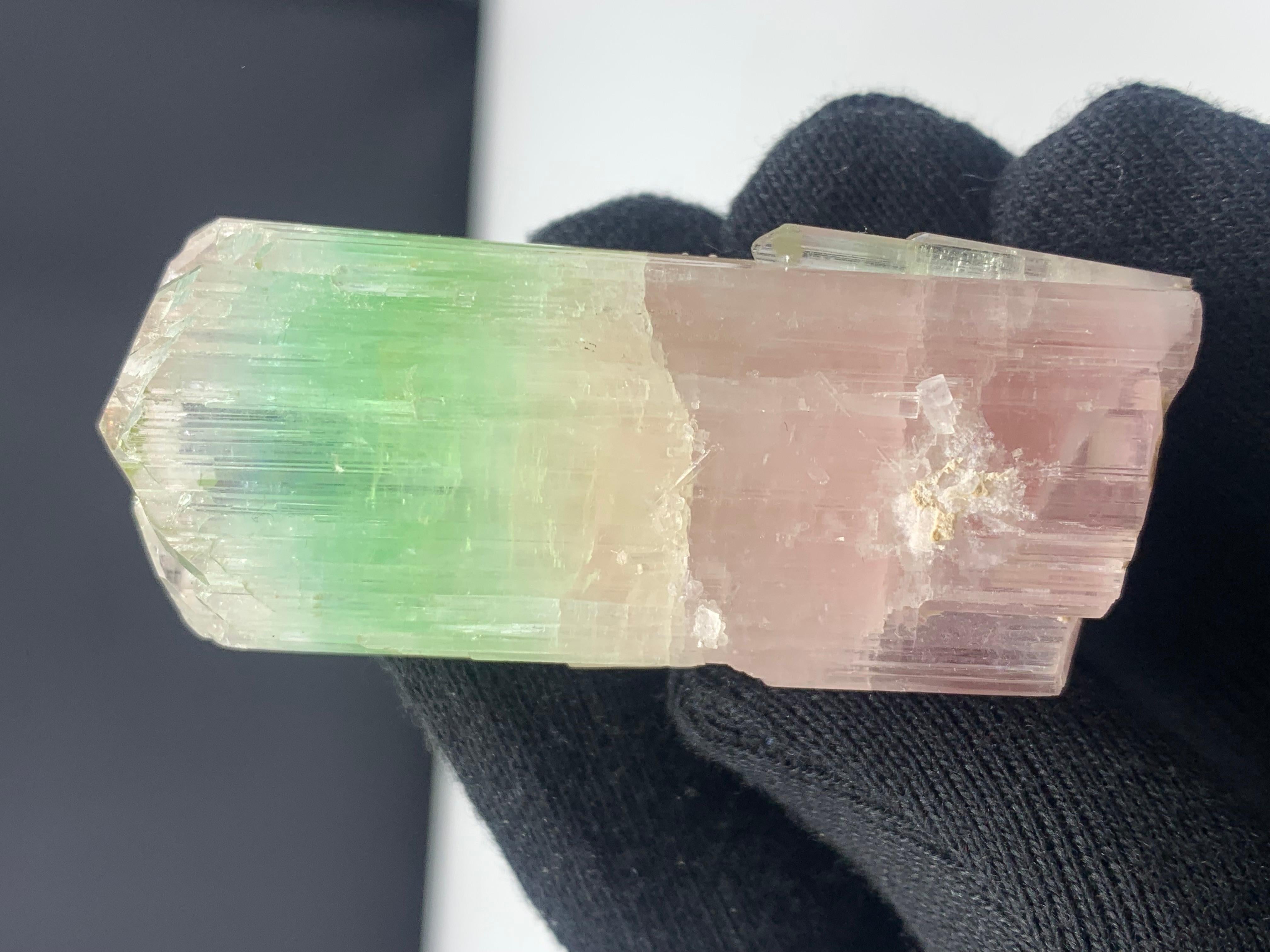 79.04 Gram Beautiful Bi Color Tourmaline Crystal from Afghanistan For Sale 4