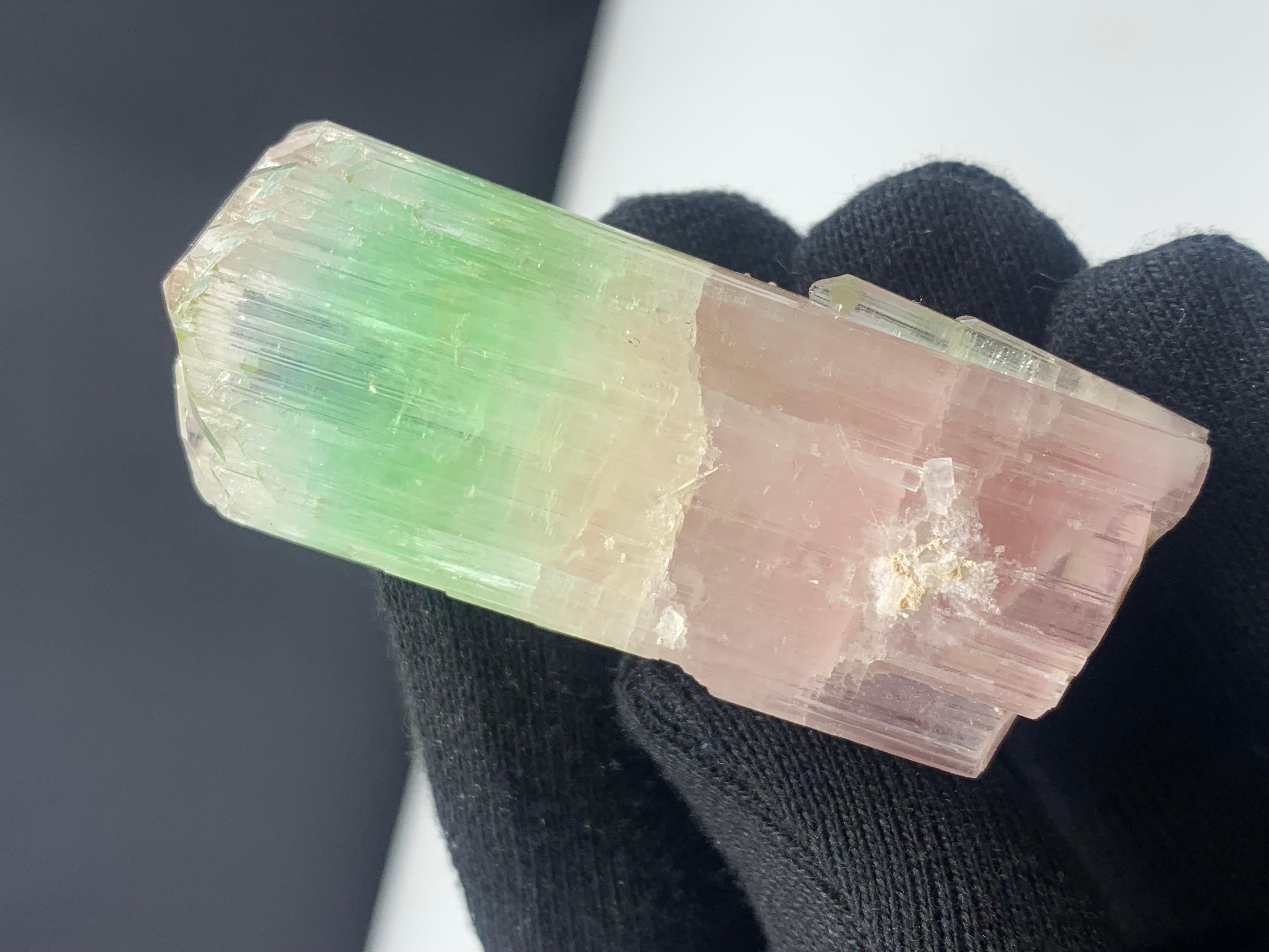 79.04 Gram Beautiful Bi-Color Tourmaline Crystal From Afghanistan 
WEIGHT: 79.04 grams
DIMENSIONS: 6.6 x 2.7 x 2.6 Cm
ORIGIN: Afghanistan
TREATMENT: None

Tourmaline is an extremely popular gemstone; the name Tourmaline is derived from