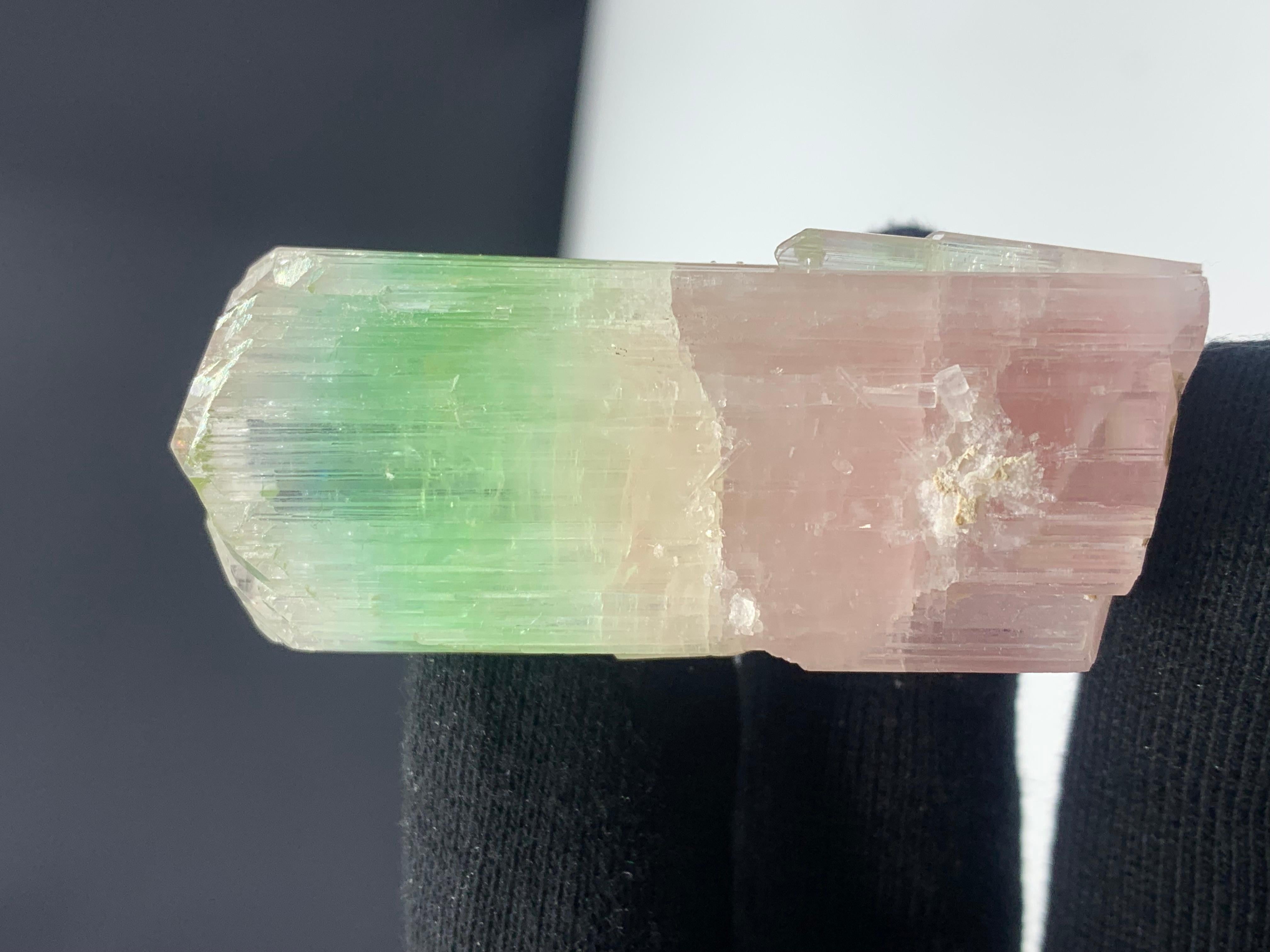 Other 79.04 Gram Beautiful Bi Color Tourmaline Crystal from Afghanistan For Sale