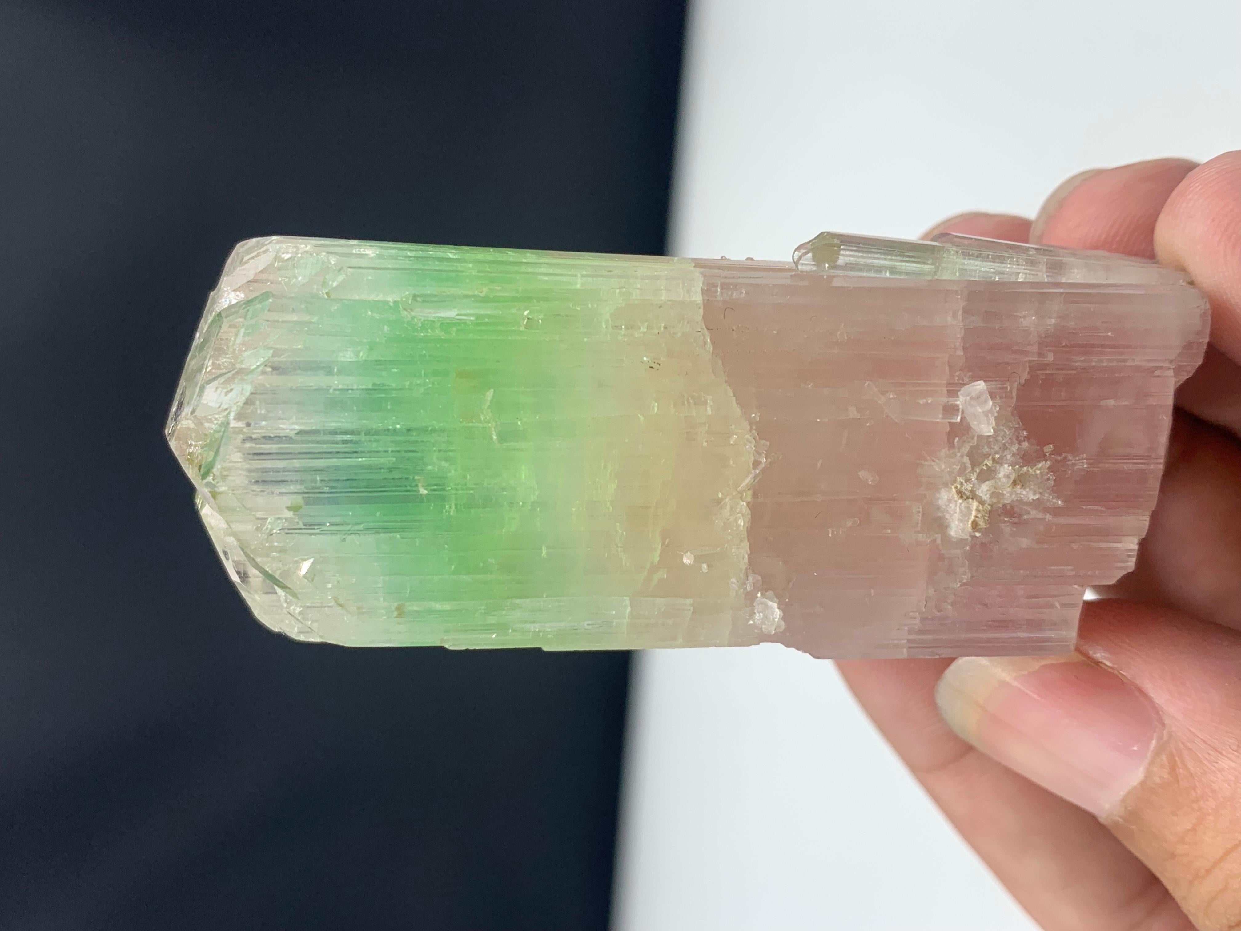 18th Century and Earlier 79.04 Gram Beautiful Bi Color Tourmaline Crystal from Afghanistan For Sale