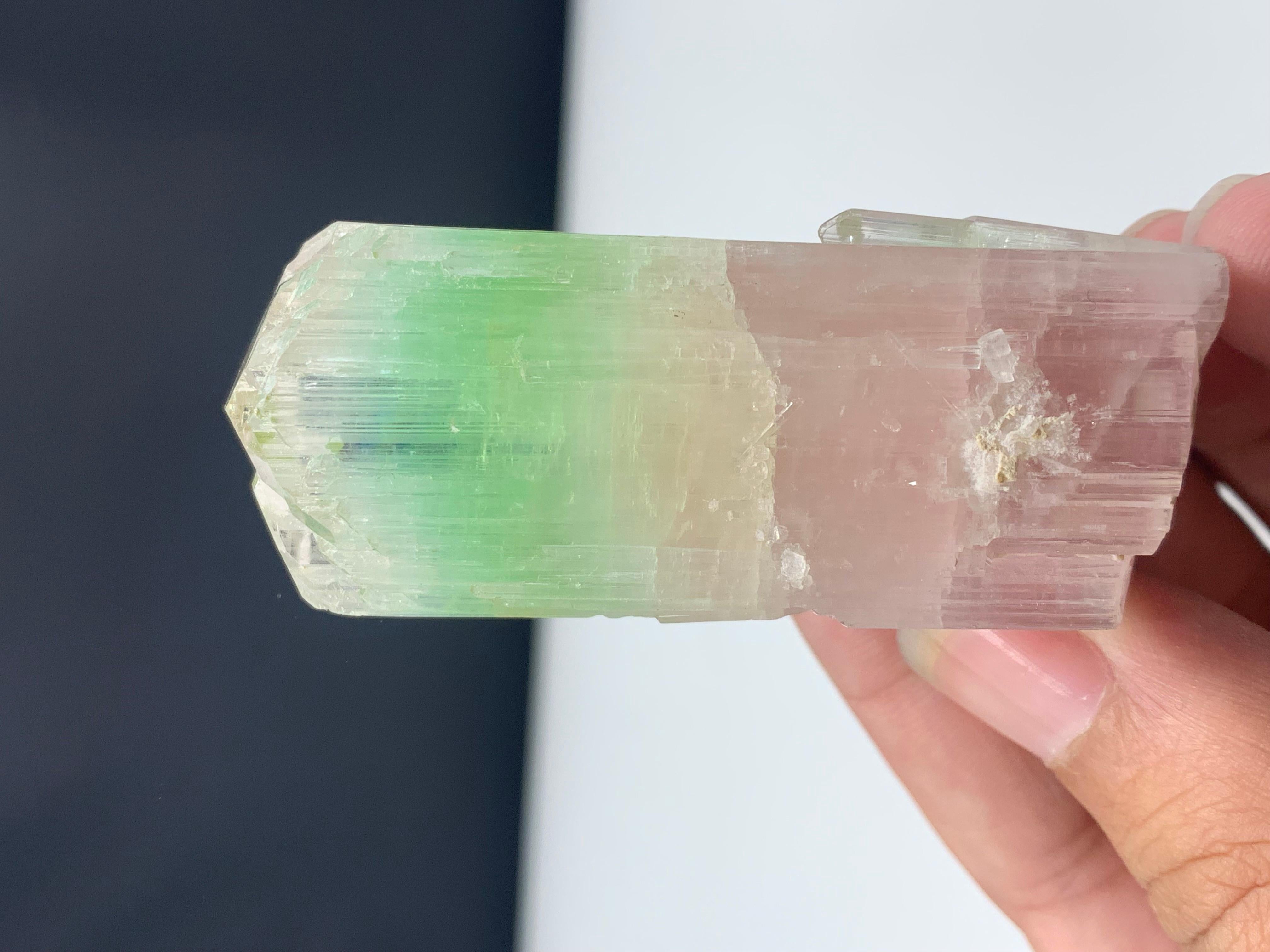 79.04 Gram Beautiful Bi Color Tourmaline Crystal from Afghanistan For Sale 1
