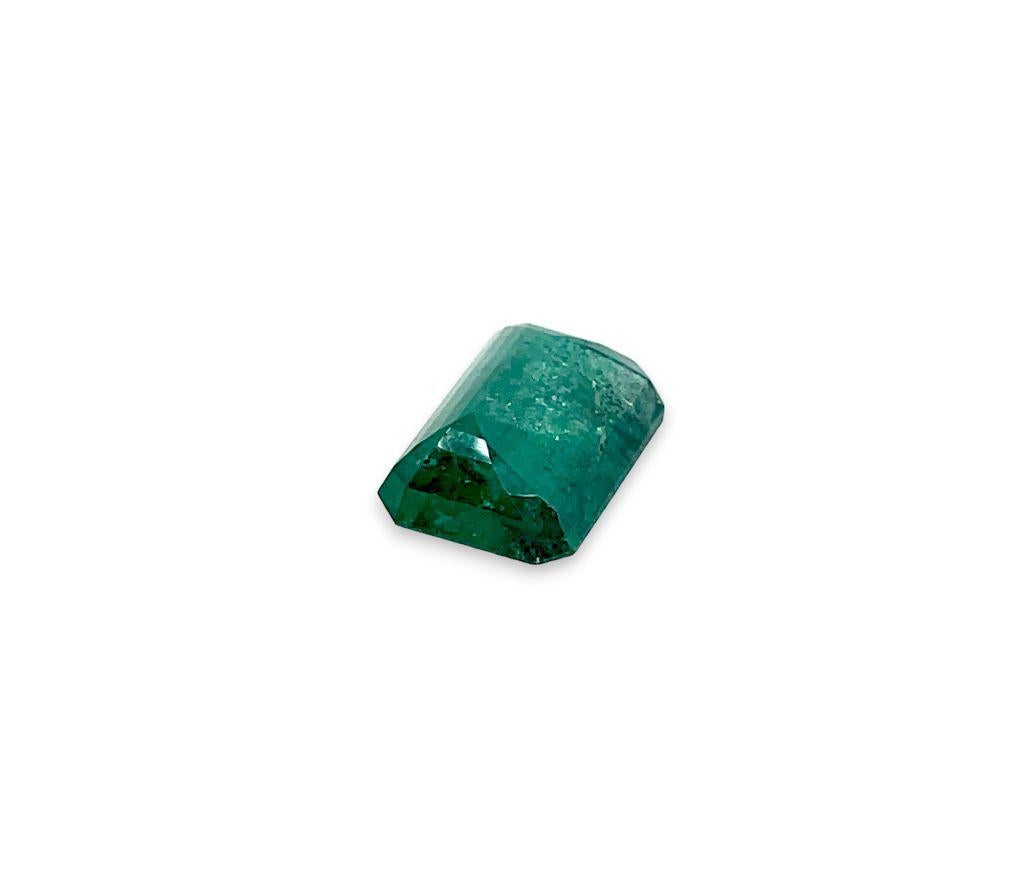 7.91ct
Emerald Cut
Zambian Emerald
Natural Gemstone
Valuation included*
(Bottom elongated emerald in video below)

Custom made orders welcome, please contact our customer service team to design your unique jewel.

Customisation available please