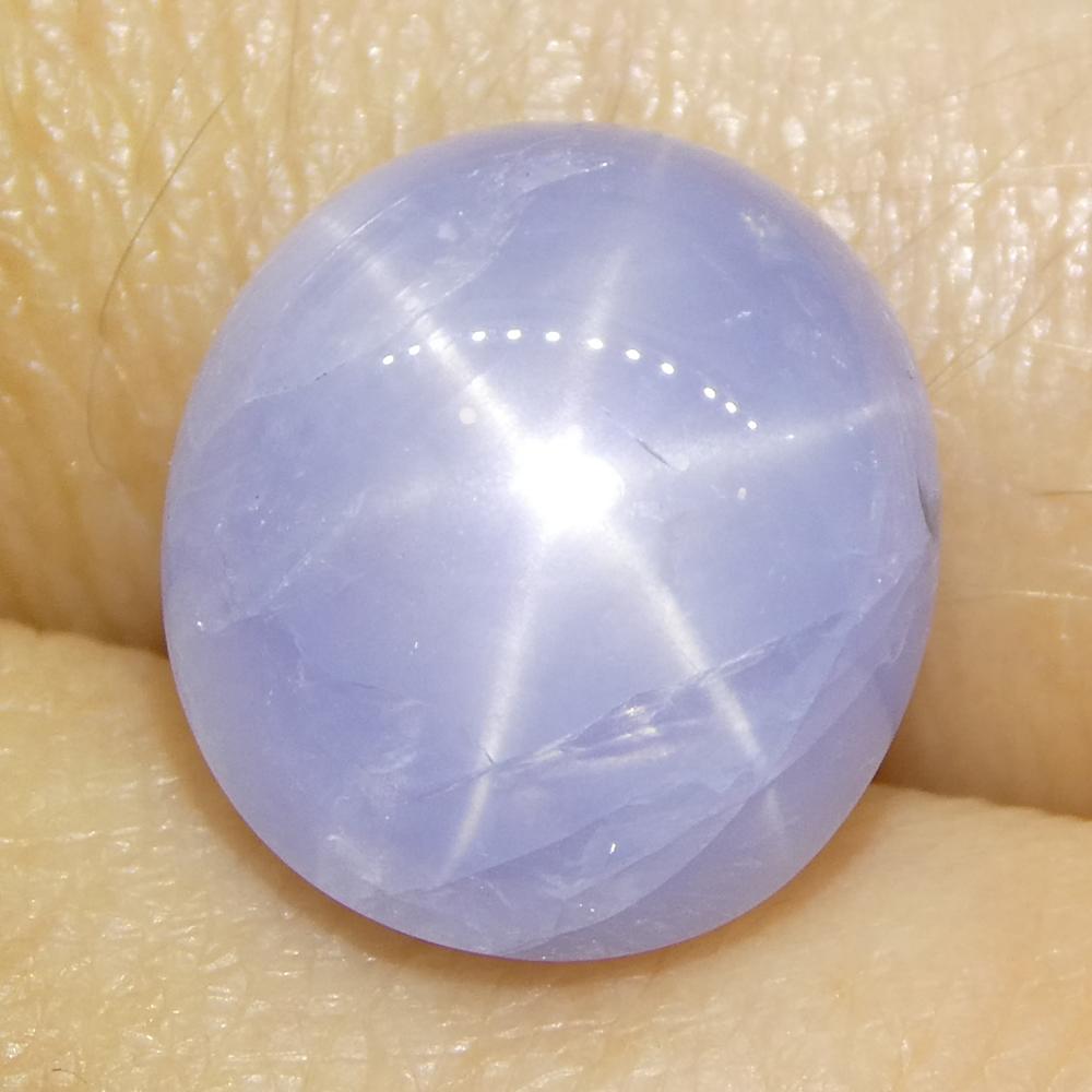 7.93ct Cabochon ovale de saphir bleu étoilé du Sri Lanka en vente 6
