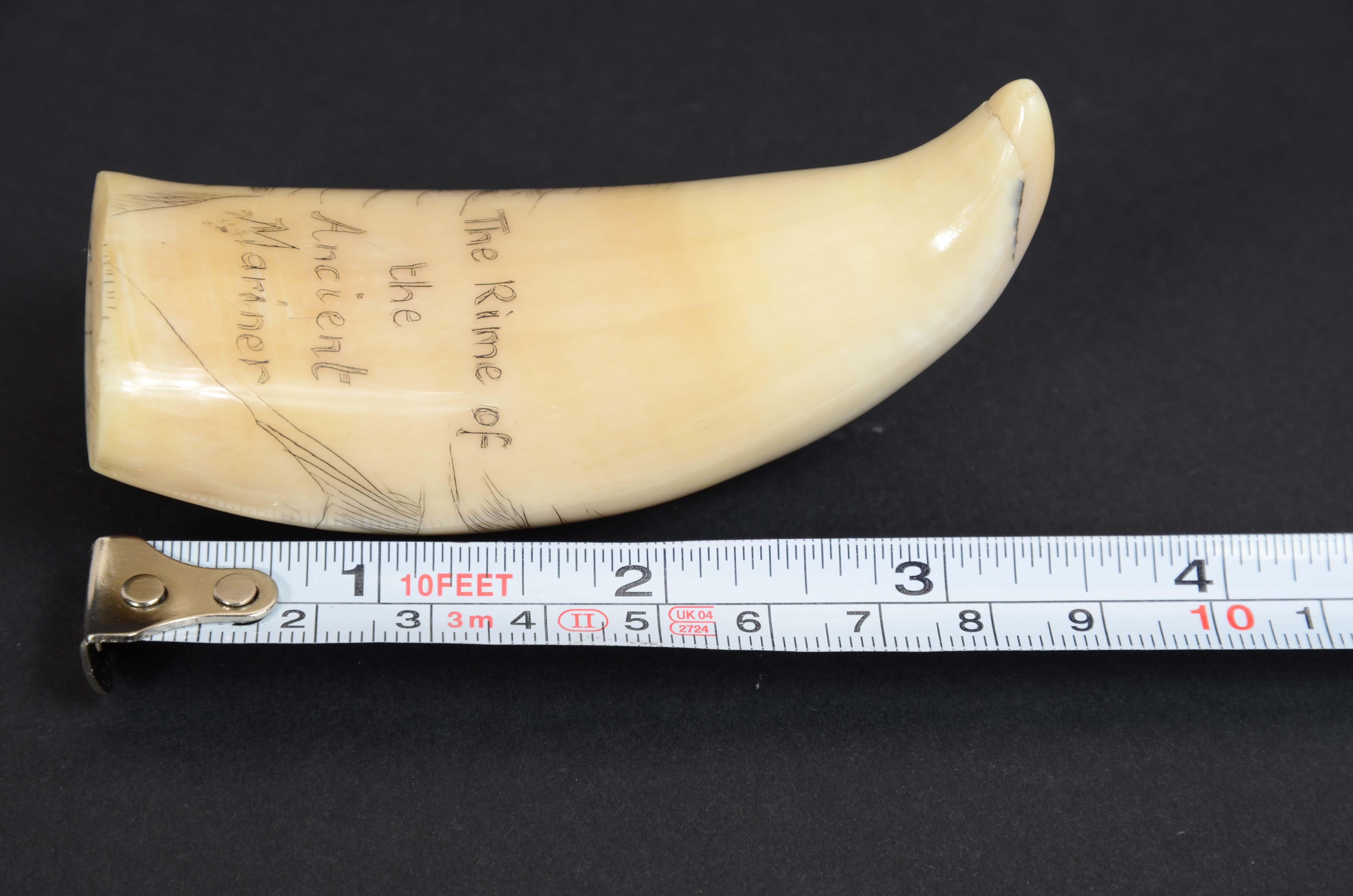 7990 Scrimshaw of vertically engraved whale tooth dated around 1850 For Sale 3