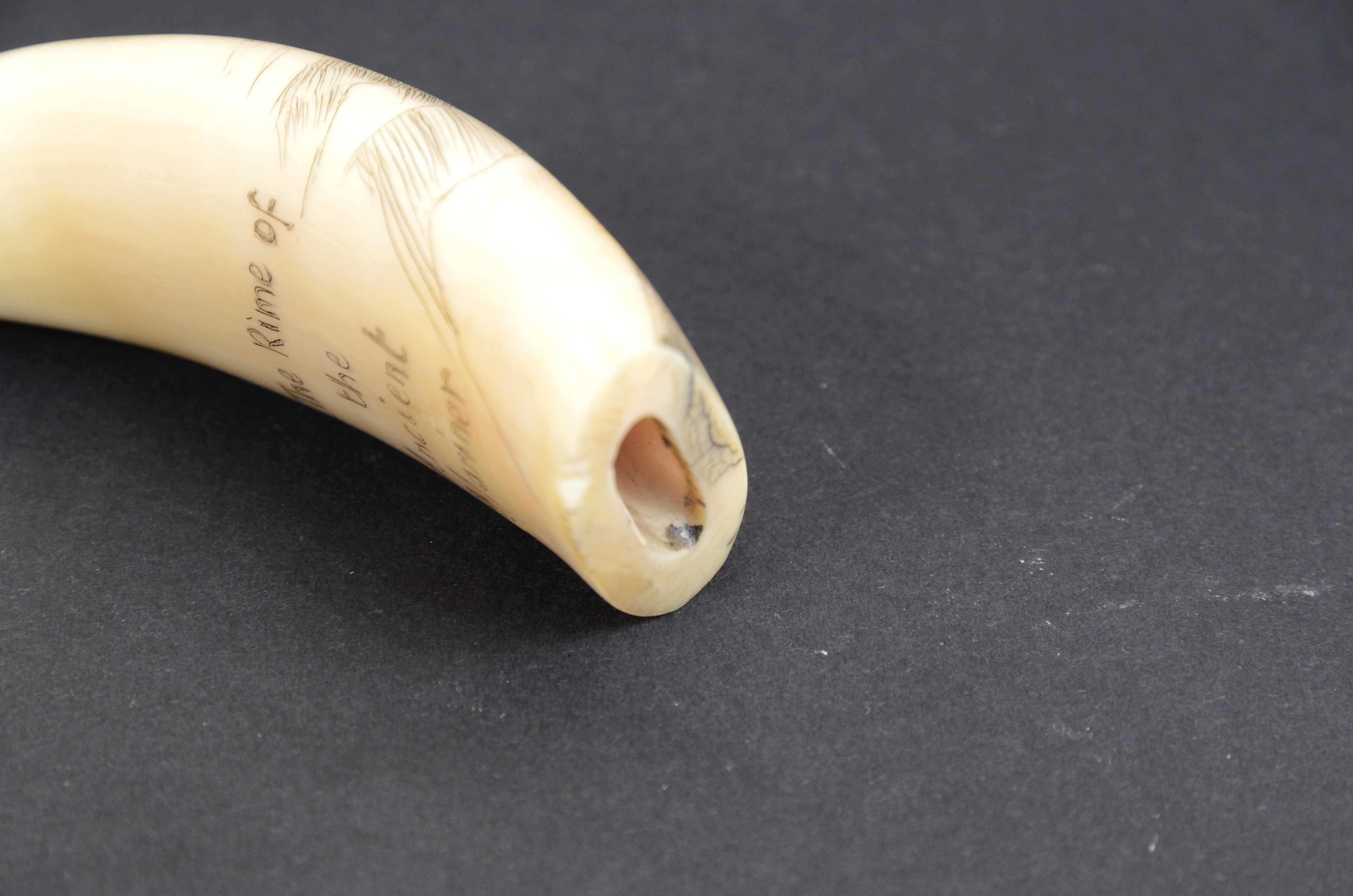 7990 Scrimshaw of vertically engraved whale tooth dated around 1850 For Sale 4