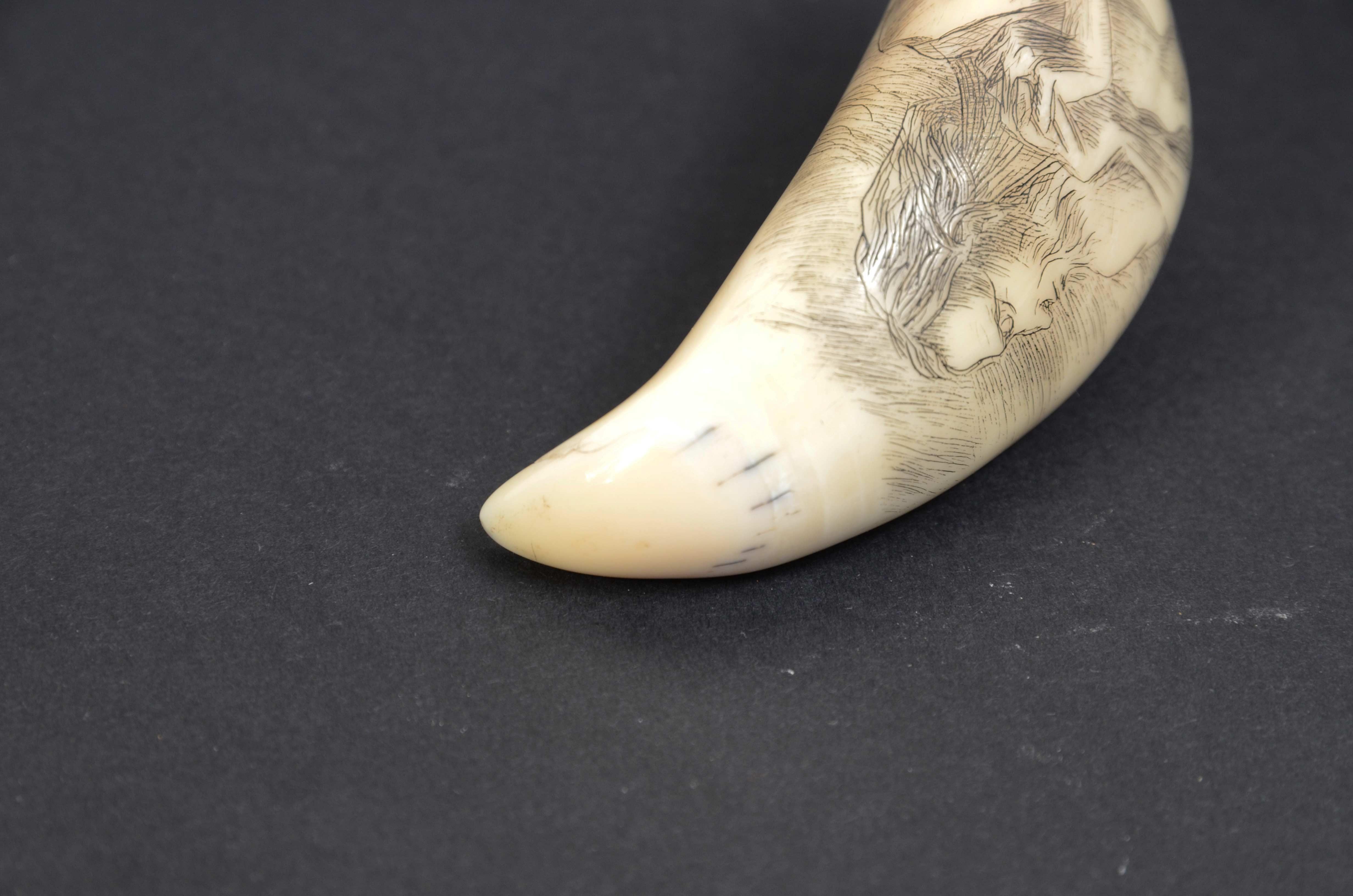 7990 Scrimshaw of vertically engraved whale tooth dated around 1850 For Sale 8