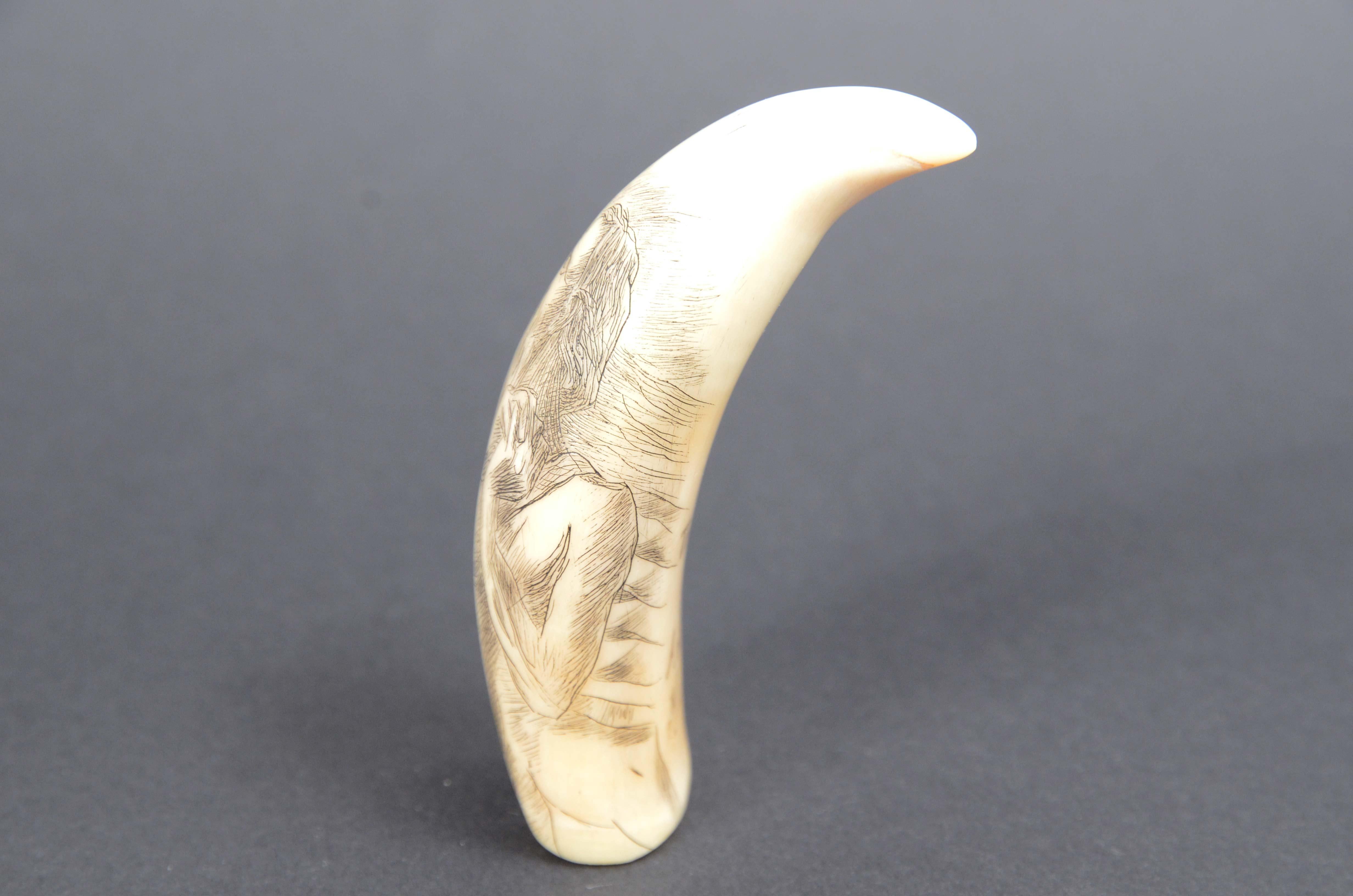 7990 Scrimshaw of vertically engraved whale tooth dated around 1850 For Sale 1
