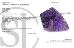 7ct Shield Amethyst 'Eleanor' Fantasy/Fancy Cut