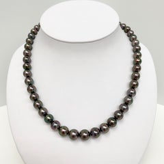 Collier de perles d'aubergine de Tahiti linéaires avec fermoir en or