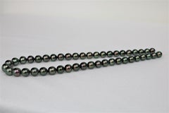 Tahitian Peacock Green Near Round Necklace with Gold Clasp