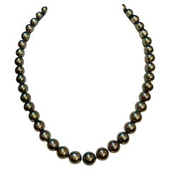 8-11.5 mm Tahitian Black Graduating Pearls Strand Necklace Yellow Gold Clasp 18K