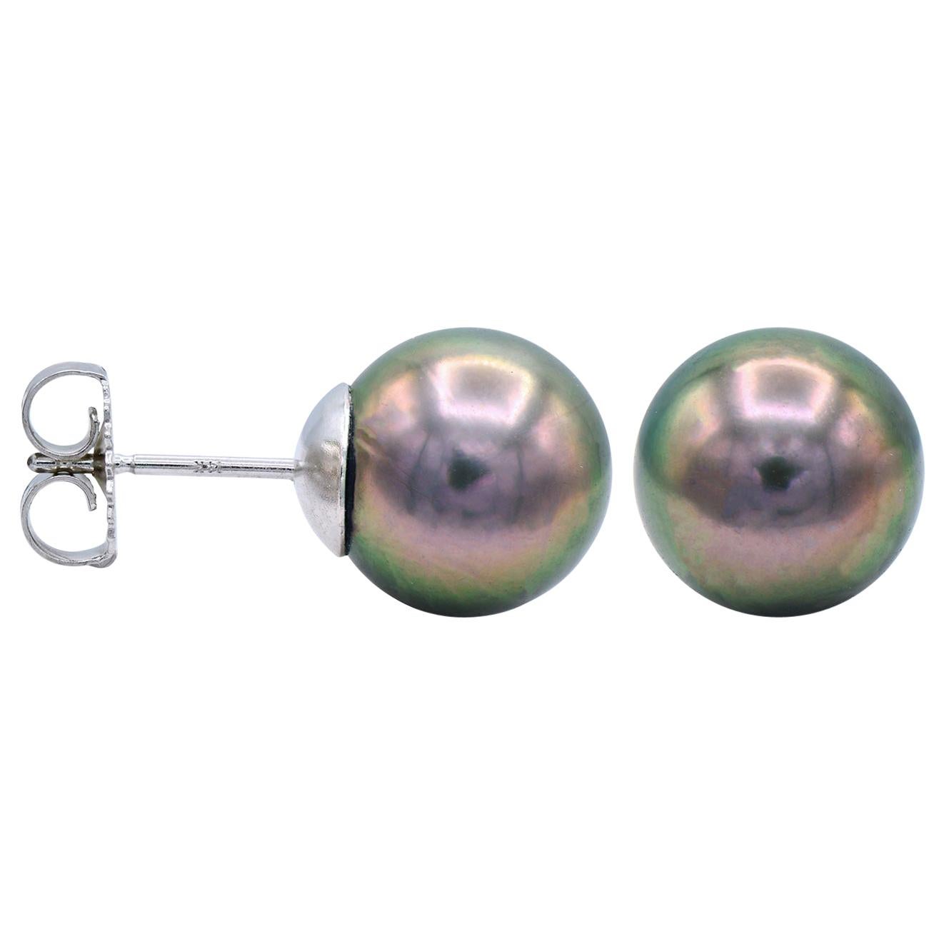 8-8.5mm Tahitian Pearl Stud Earrings in 14 Karat White Gold For Sale