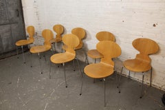 8 "Ant" Chairs by Arne Jacobsen for Fritz Hansen c. 1985