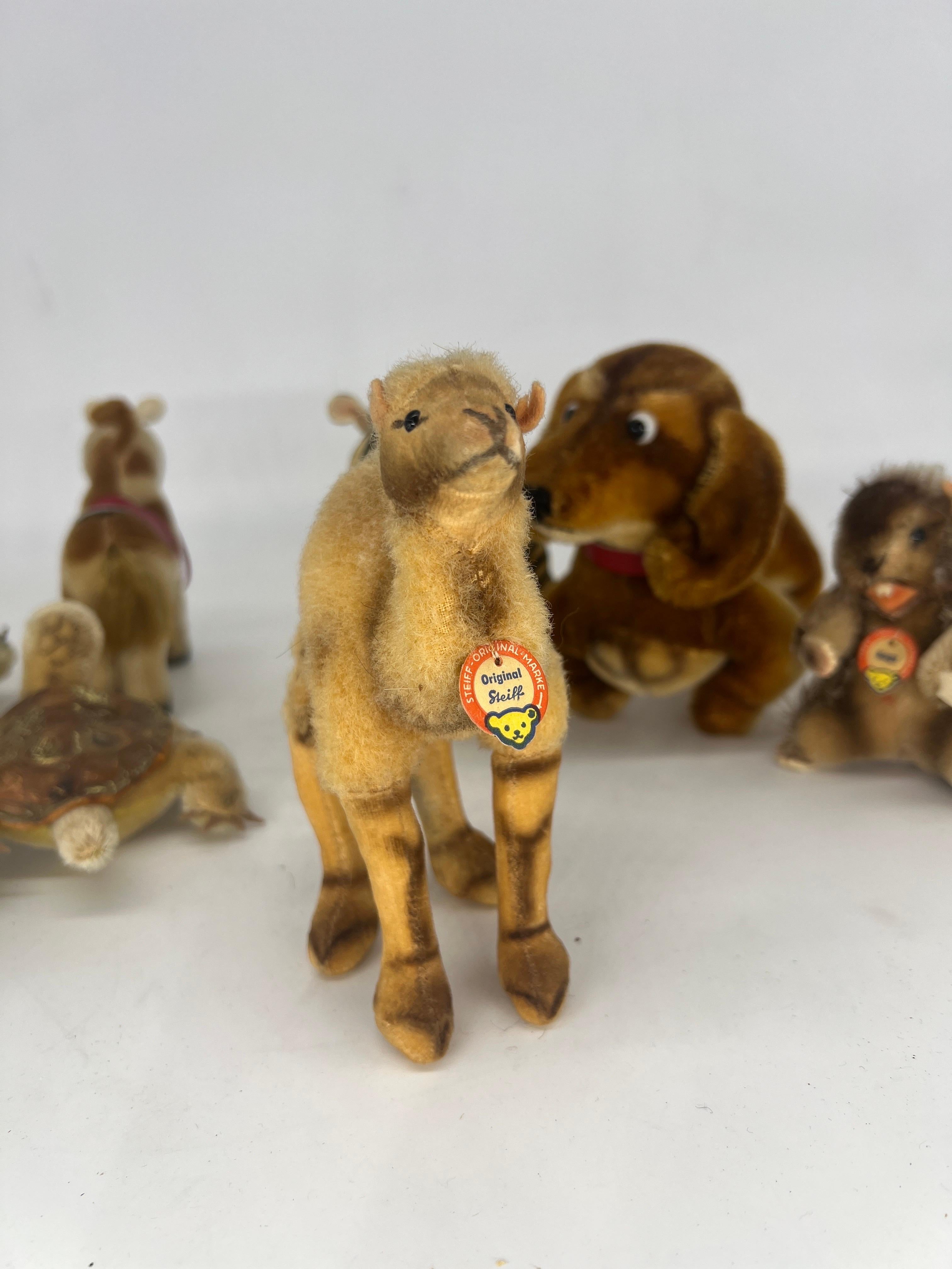 8 Antike & Vintage Steiff Miniatur Teddybär Stofftiere (Wolle)