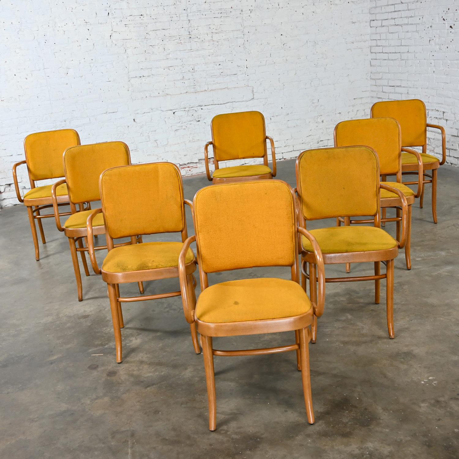 Wonderful vintage Bauhaus beech bentwood frame Thonet Josef Hoffman Prague 811 style armed dining chairs by Falcon Products Inc., Set of 8. Beautiful condition, keeping in mind that these are vintage and not new so will have signs of use and wear