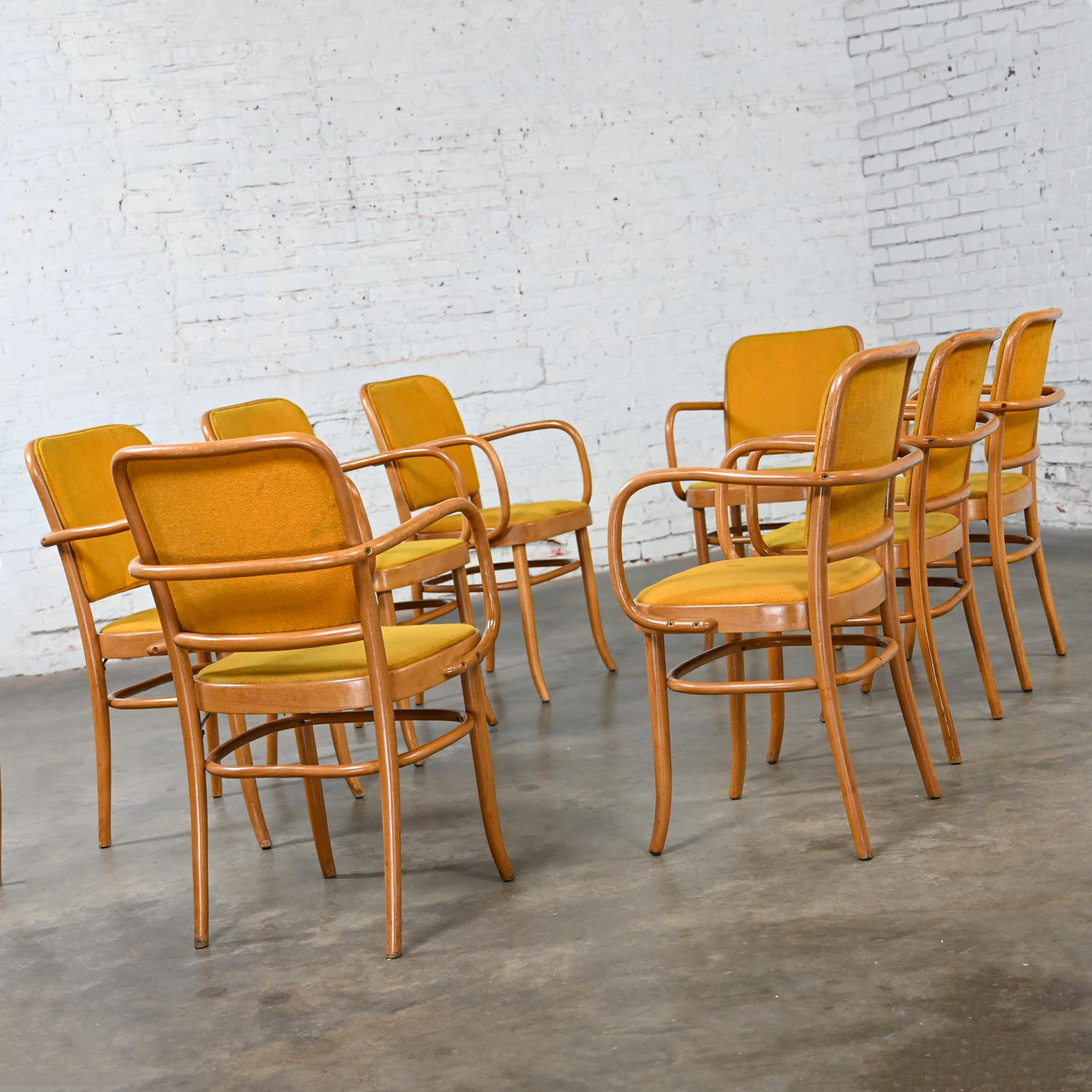 8 gebogene Bauhaus-Esszimmerstühle aus Buche und Bugholz J Hoffman Prag 811 im Stil Thonet (Mazedonisch) im Angebot